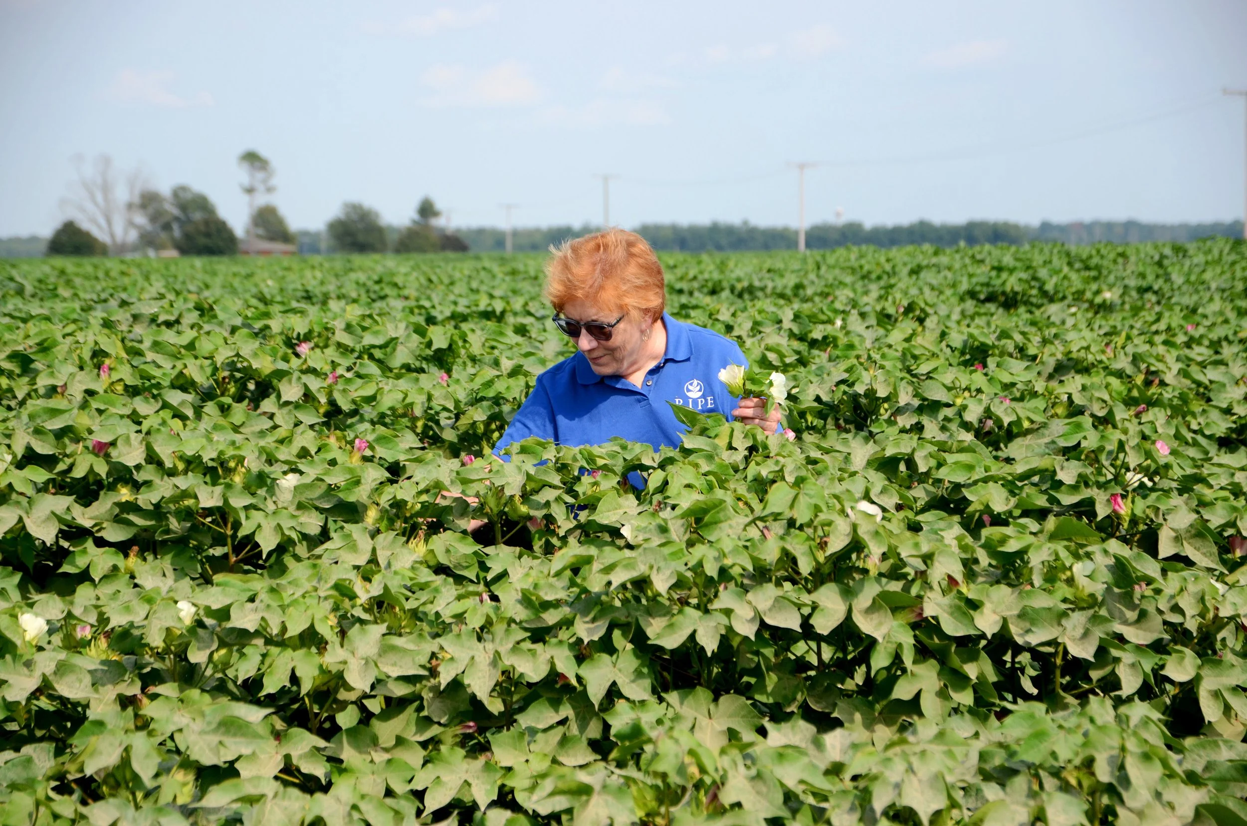 Copy of DSC_9000.1.jpg