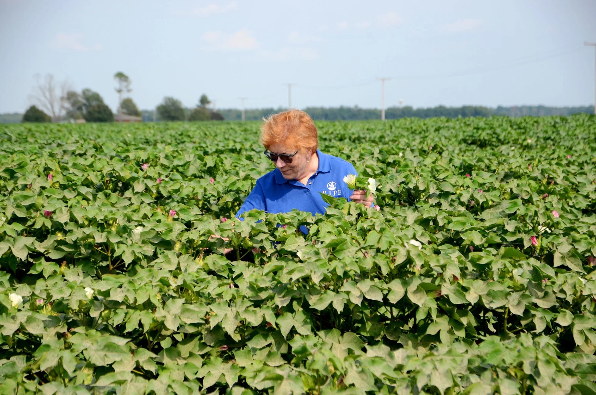 Copy of DSC_9000.1.jpg