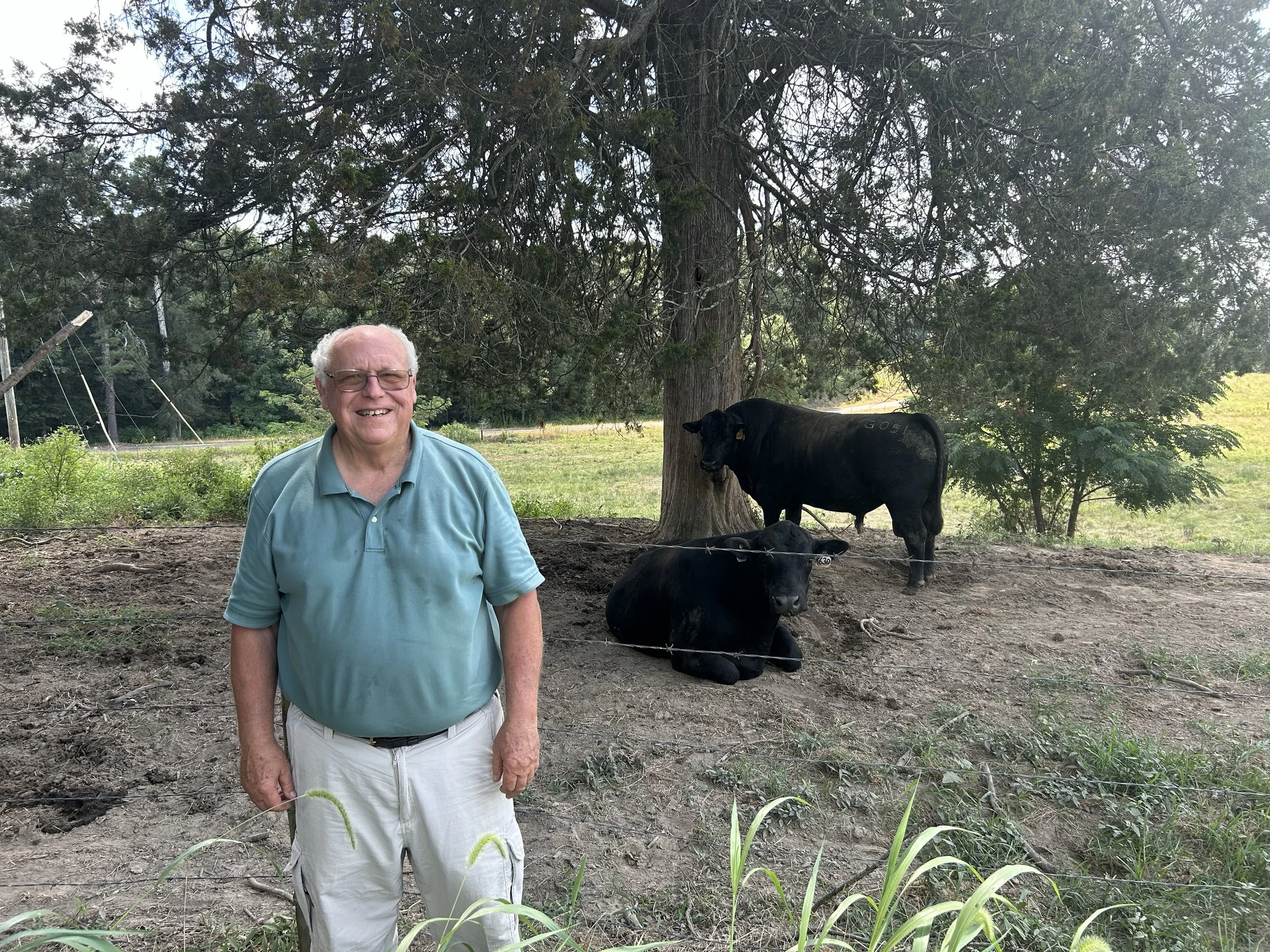 Sledge Taylor in front of some of his cattle.