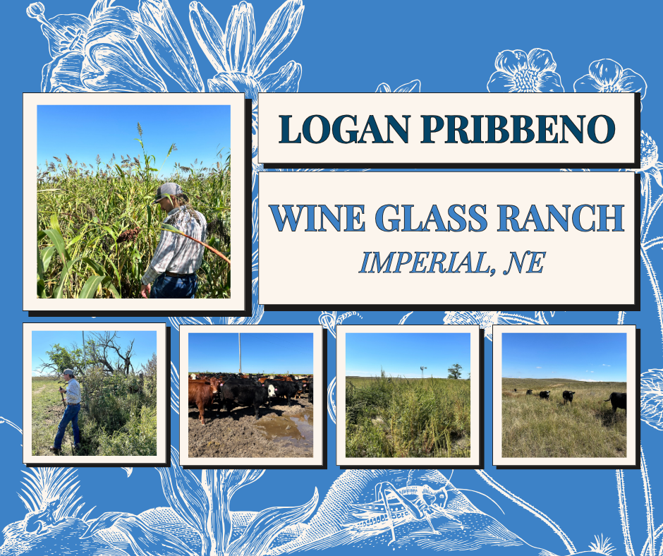 Logan Pribbeno