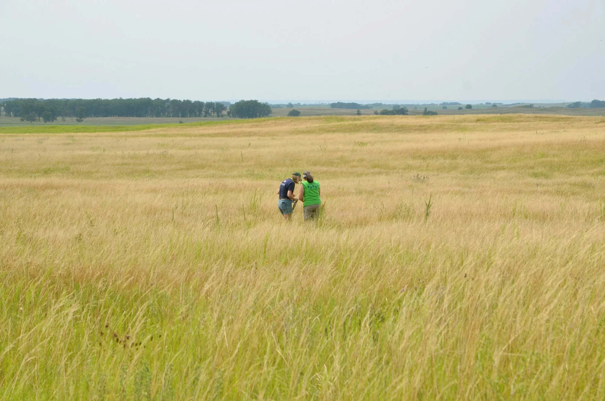 Copy of DSC_8304.1.jpg