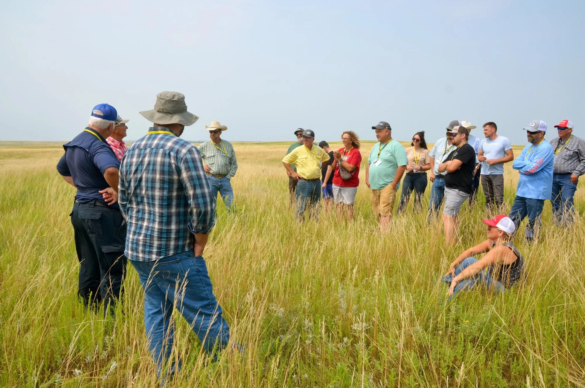 Copy of DSC_8260.1.jpg