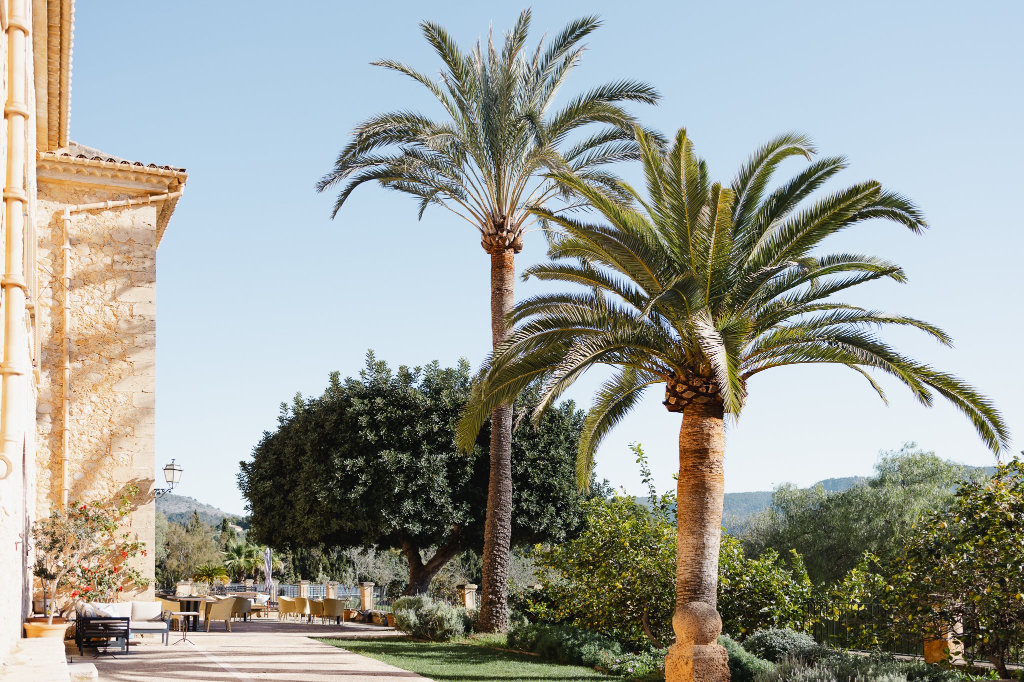 Wedding in Mallorca - Destination Wedding - Couple Session- 4T7A5862.jpg