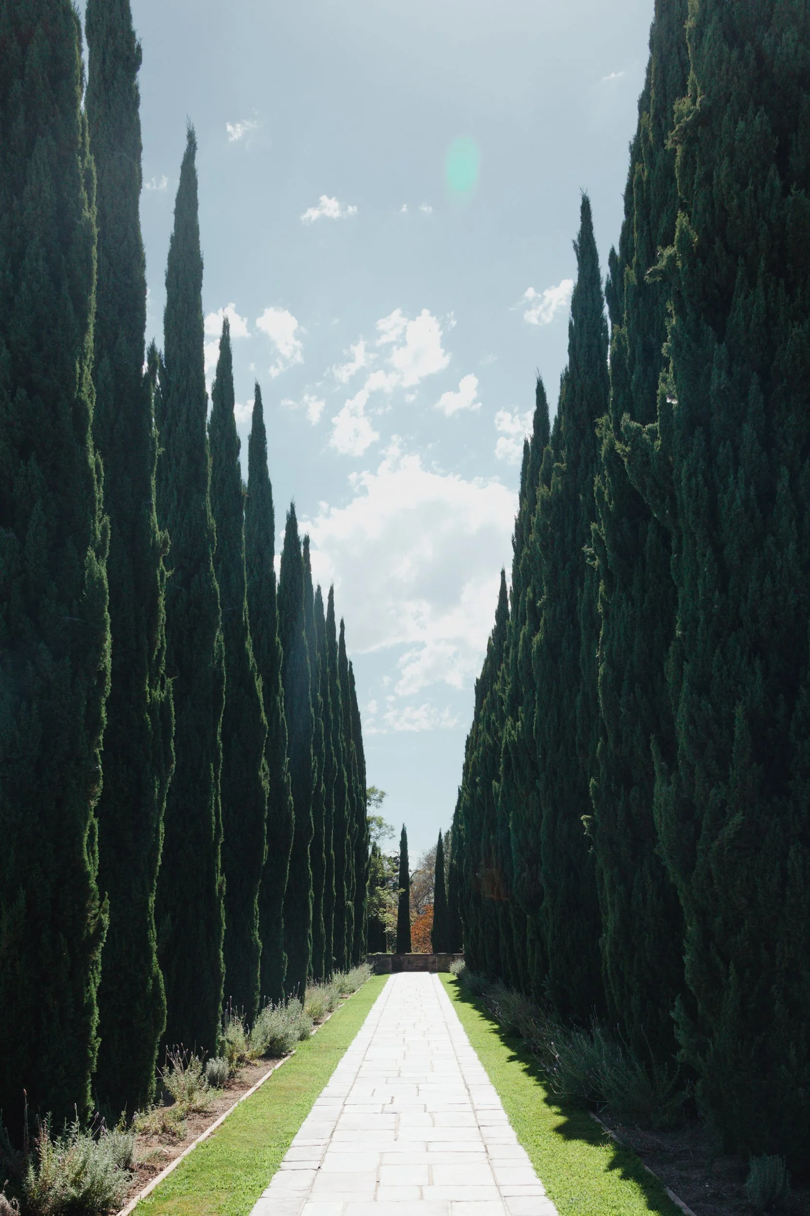 Provence - France - Wedding.jpg