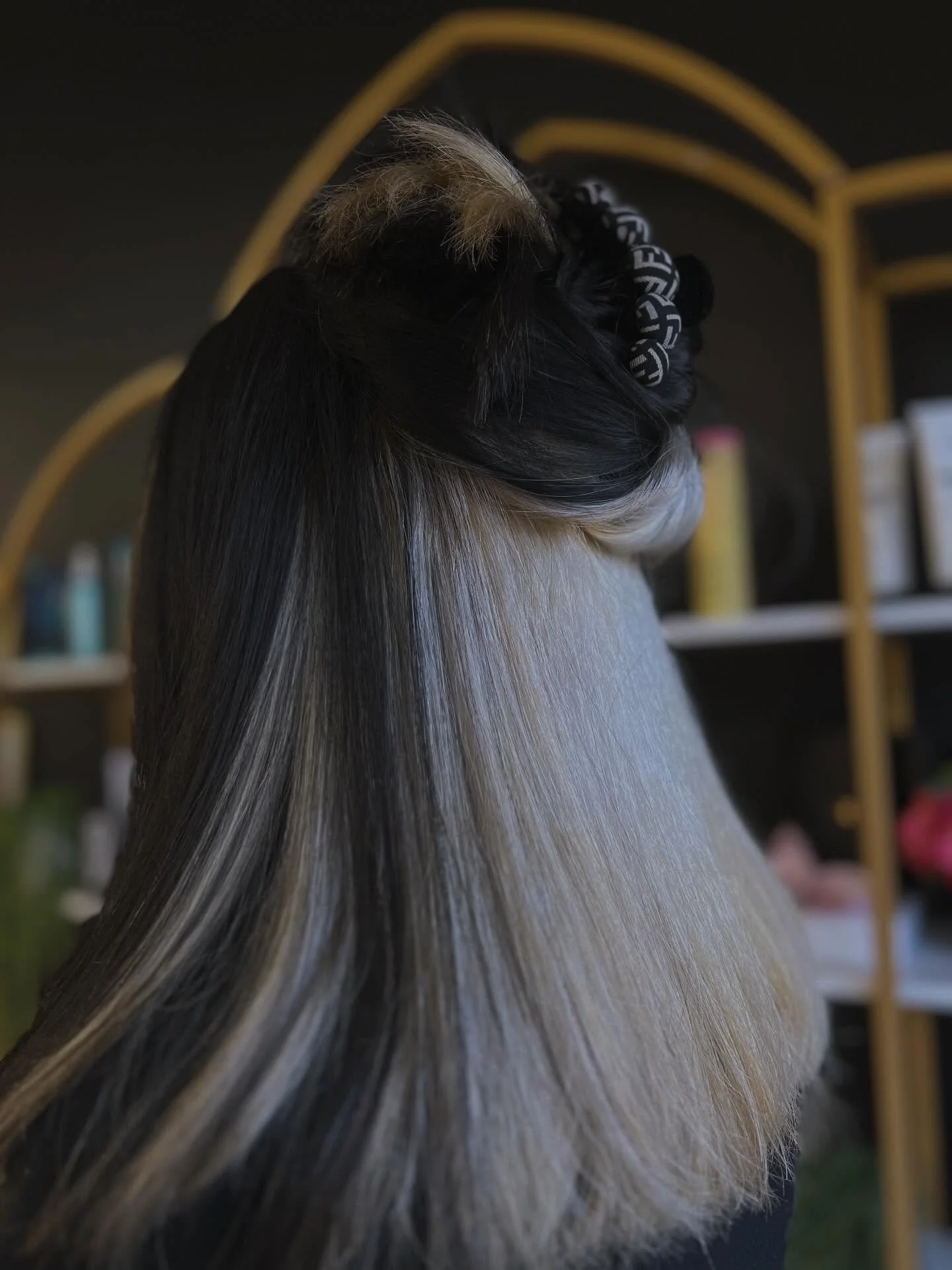 ❄️❄️

#balayage #highlights #color #bradenton #tampa bradentonhairstylist tampahairstylist blondmeschwarzkopf schwarzkopfprofessional explorepage hairdresser annamariaisland sarasota hair tiktok ellenton  lakewoodranch palmetto ykbeautysalon