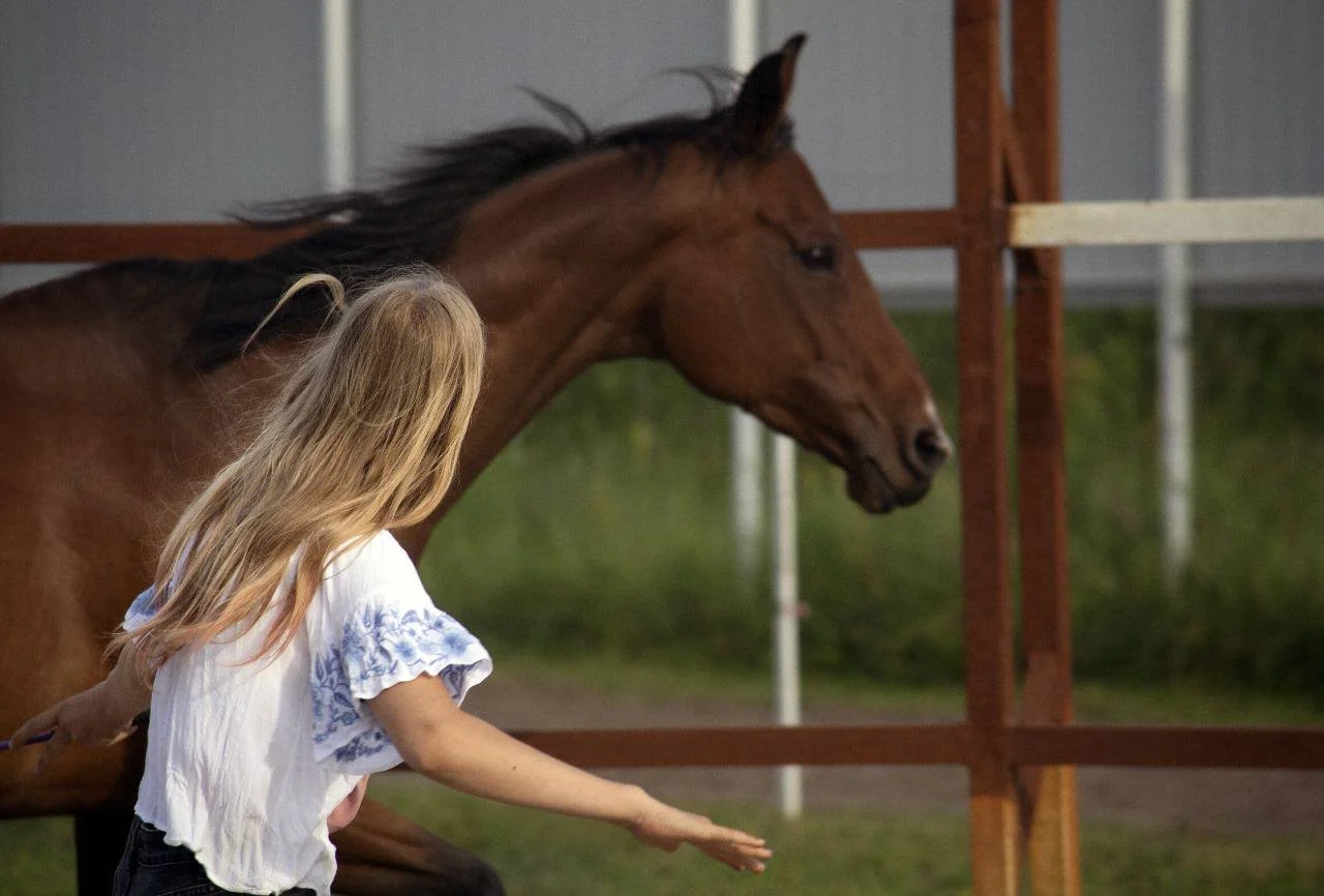 photo_2025-06-27 11.38.24.jpeg