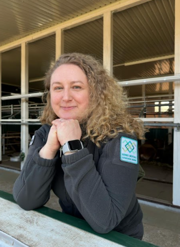 Знімок екрана (9).png