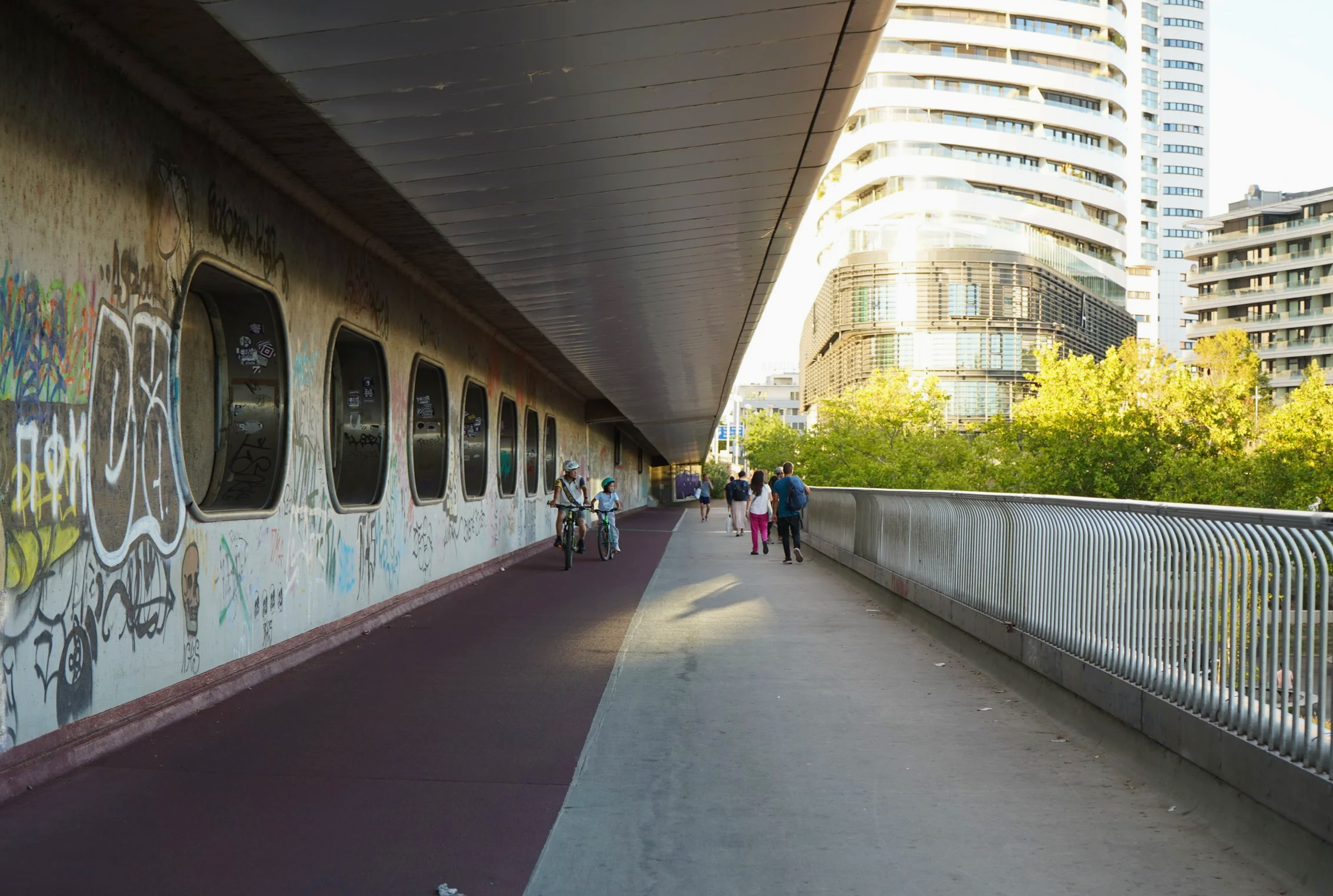 DSC01264.png