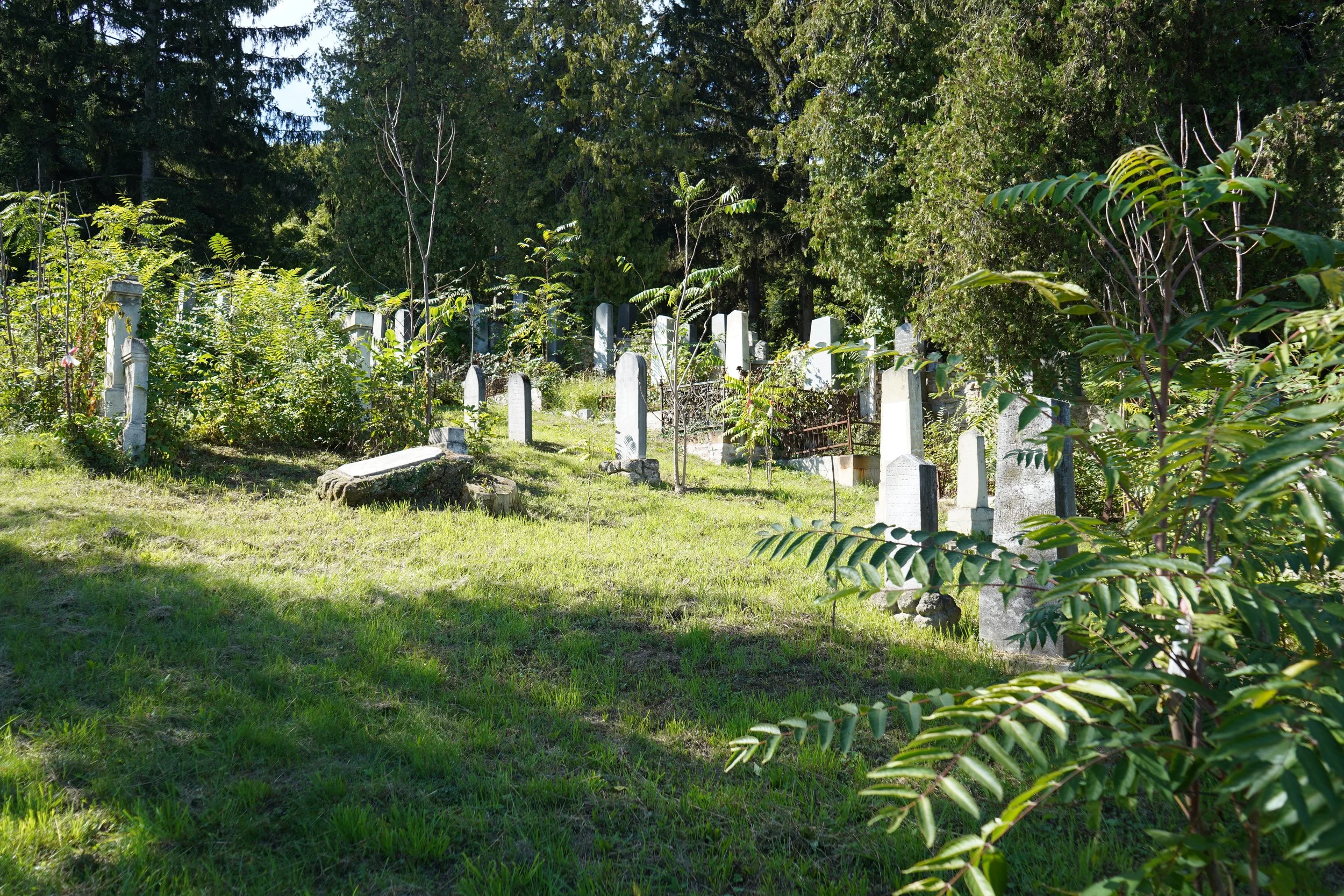 The cemetery sits on a beautiful slope of land