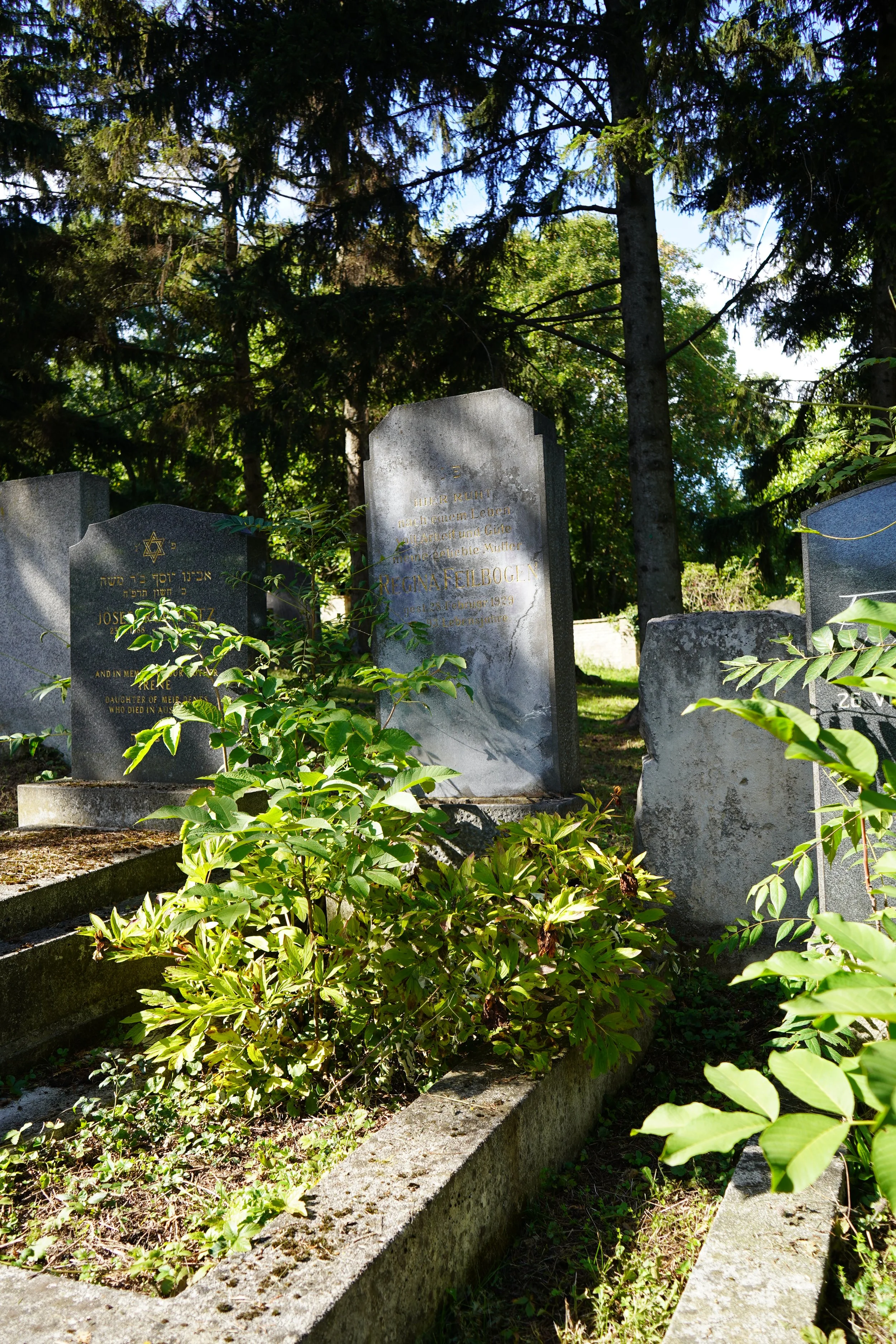 My great-great-great Grandmother Regina's grave