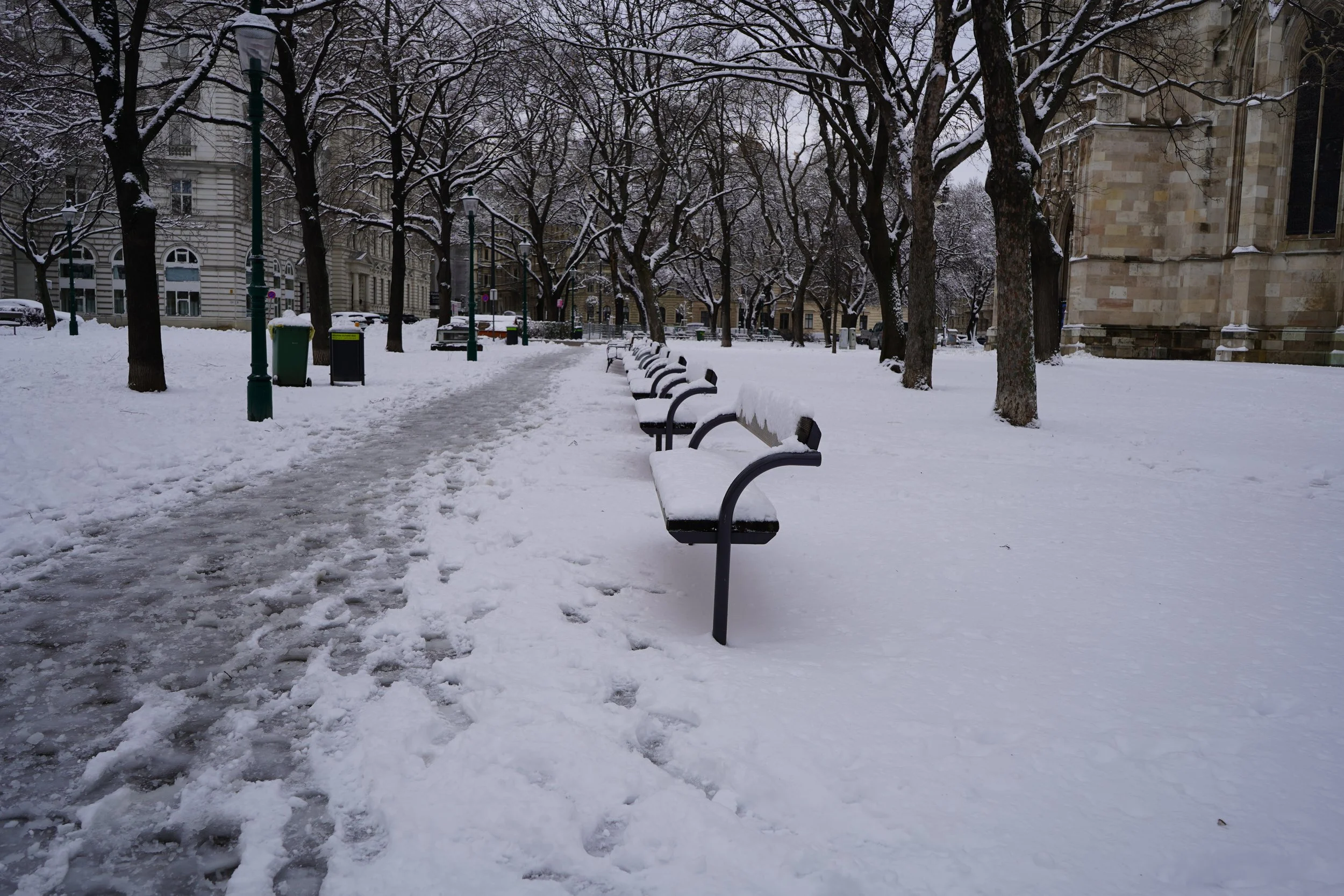 DSC00212.JPG