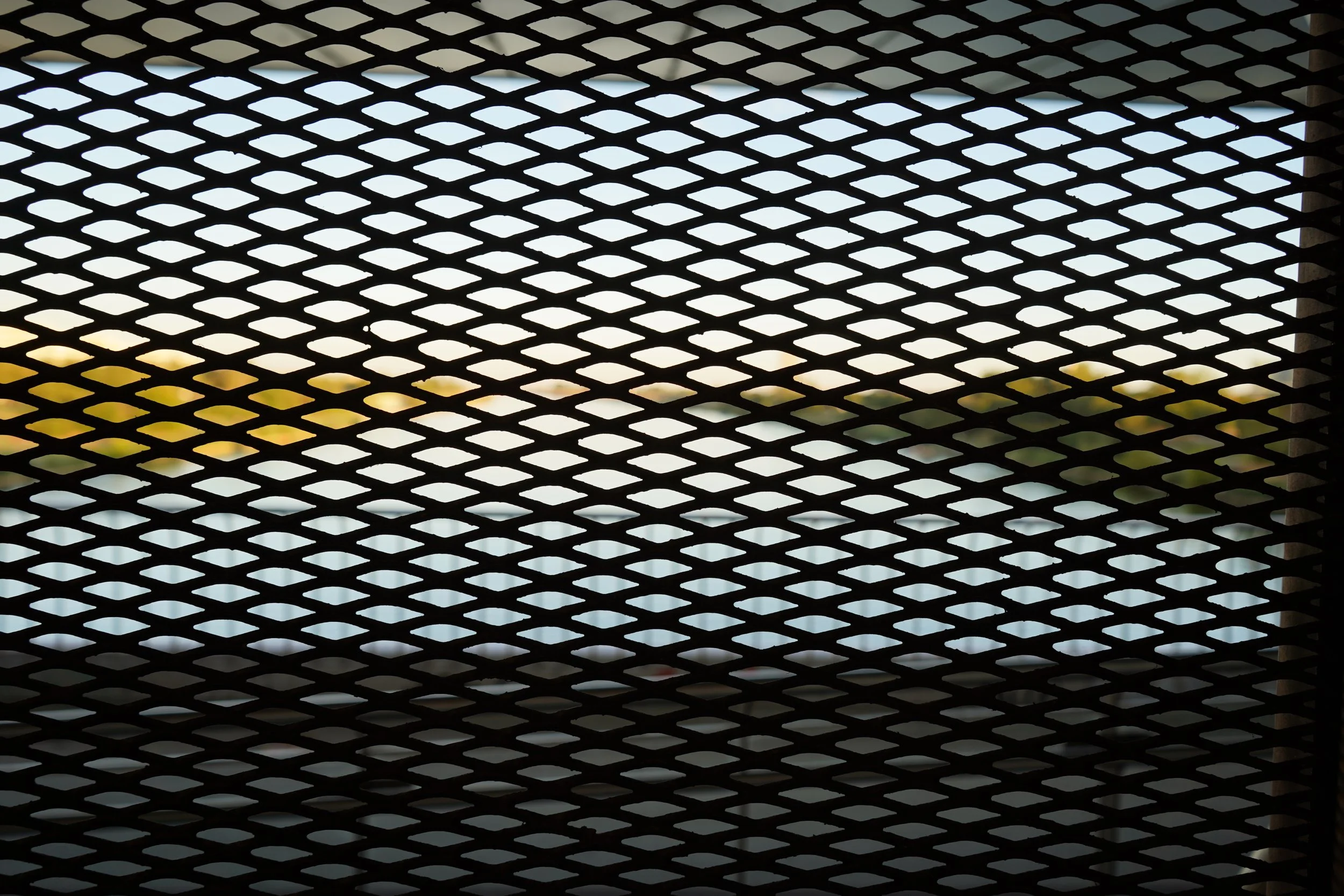 DSC01281.JPG