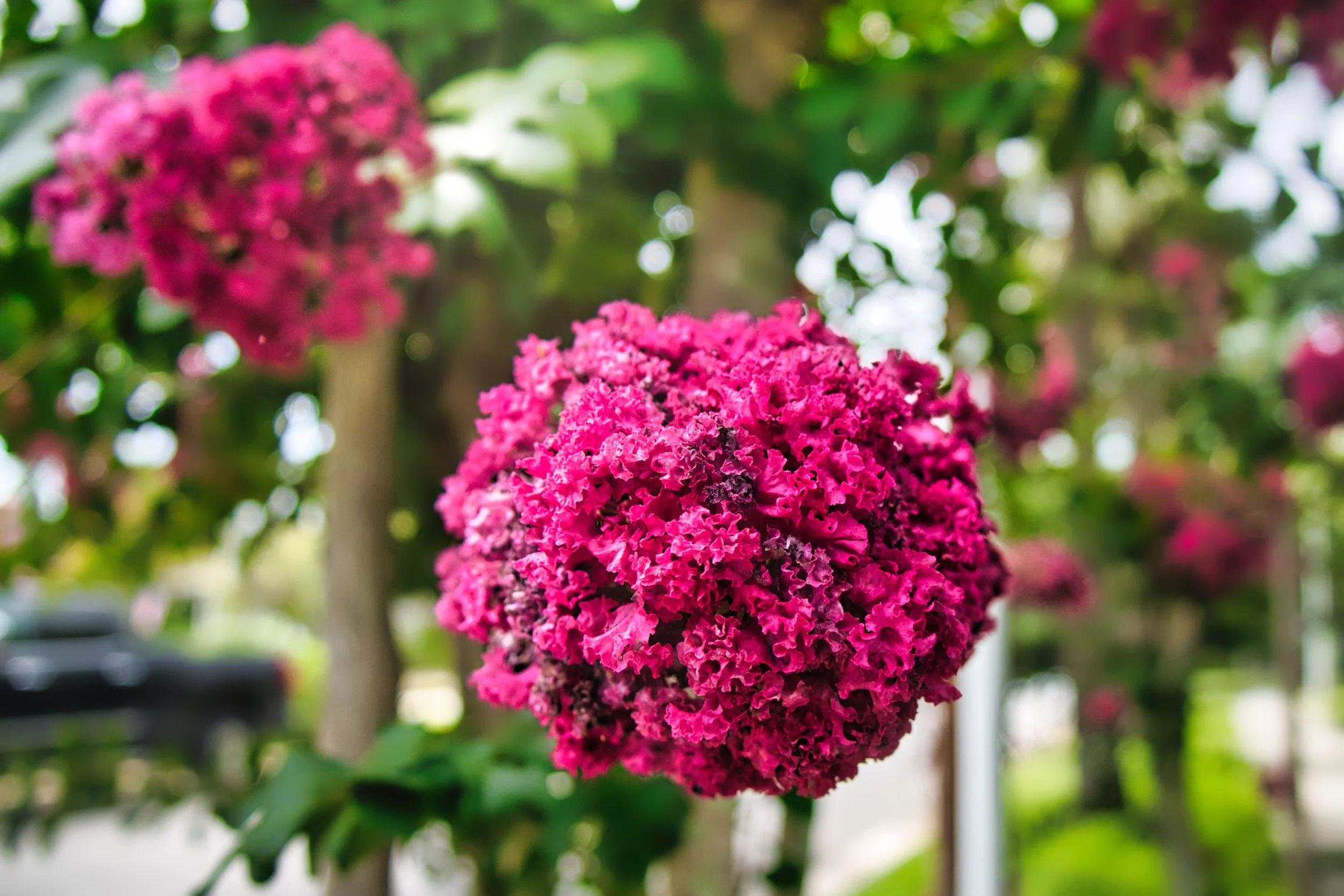 Blog Post 6: Write to a Friend in Pain