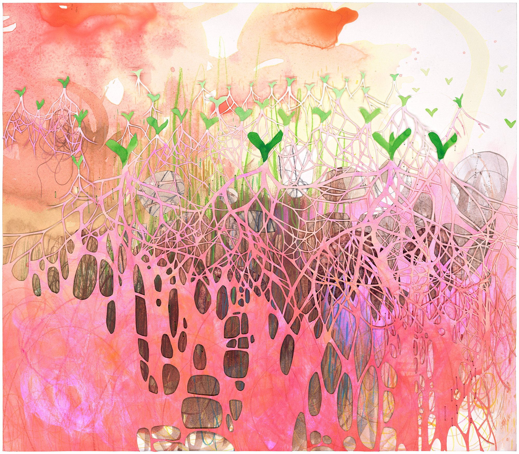 seed marrow print