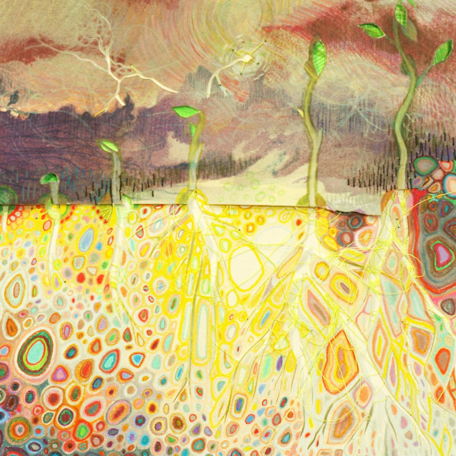 seed lightning print