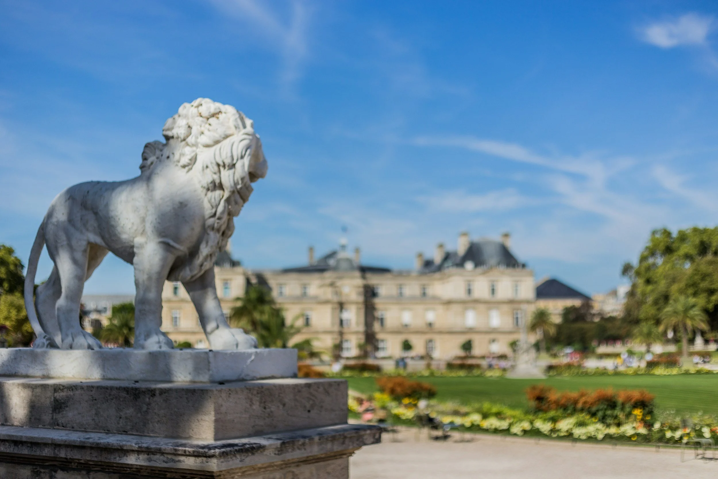 White marble lion statue on a pedestal in the Luxembourg Gardens in Paris. Green trees, and a flowered park in the background, under a blue sky.