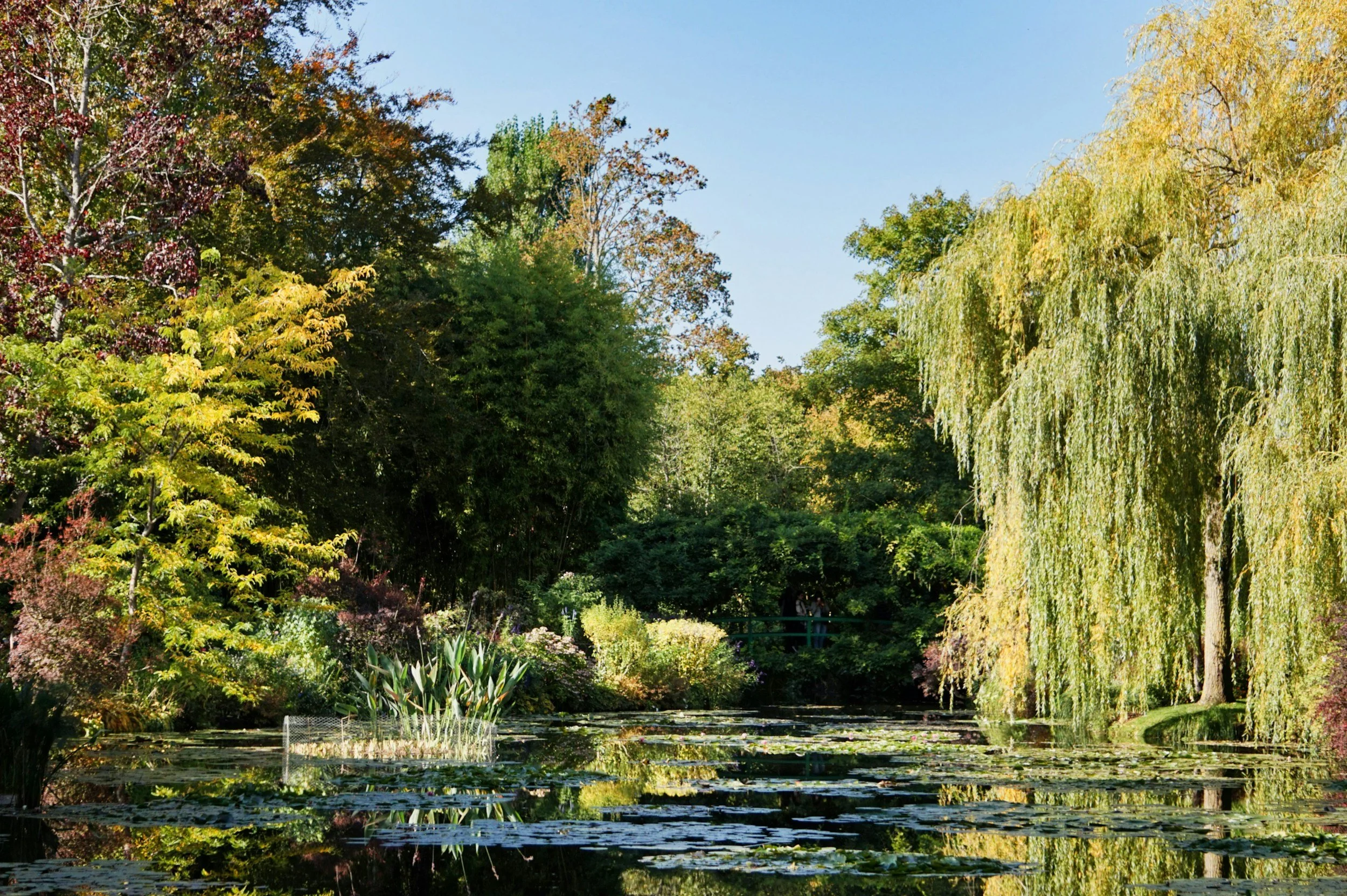 The serene pond at Claude Monet's home surrounded by lush trees with colorful autumn foliage and a clear blue sky.