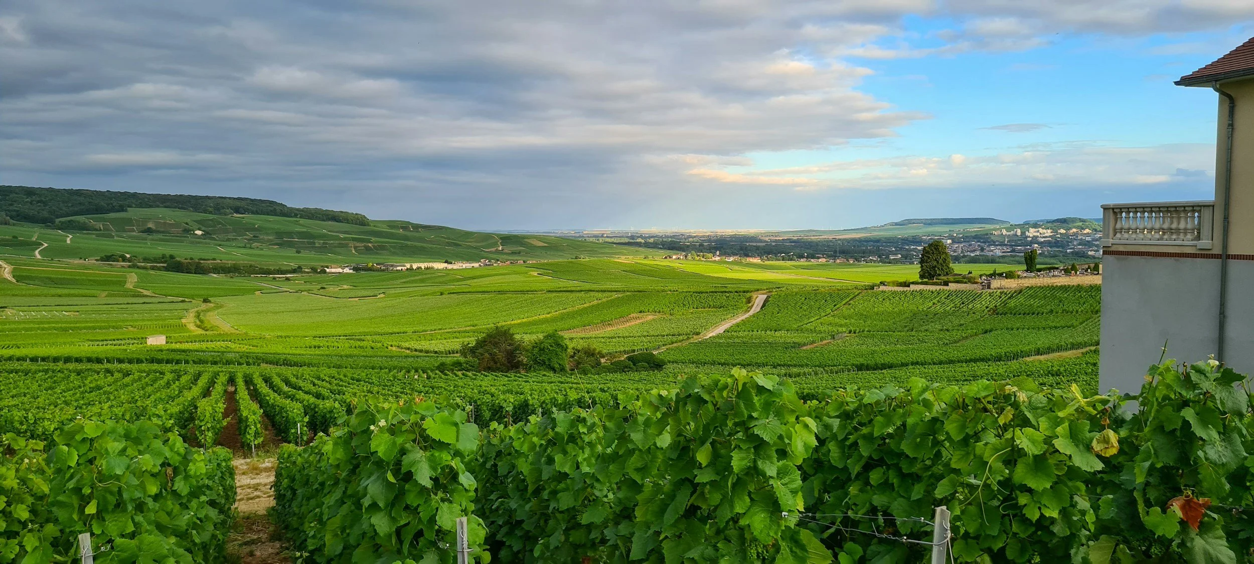 Champagne vineyard landscape with rolling green vineyards, a partly cloudy sky, and a building with a balcony on the right.