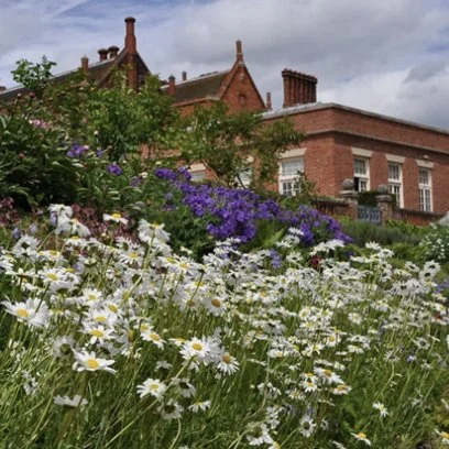 Bluebells at Hodsock Priory Blyth Nottinghamshire