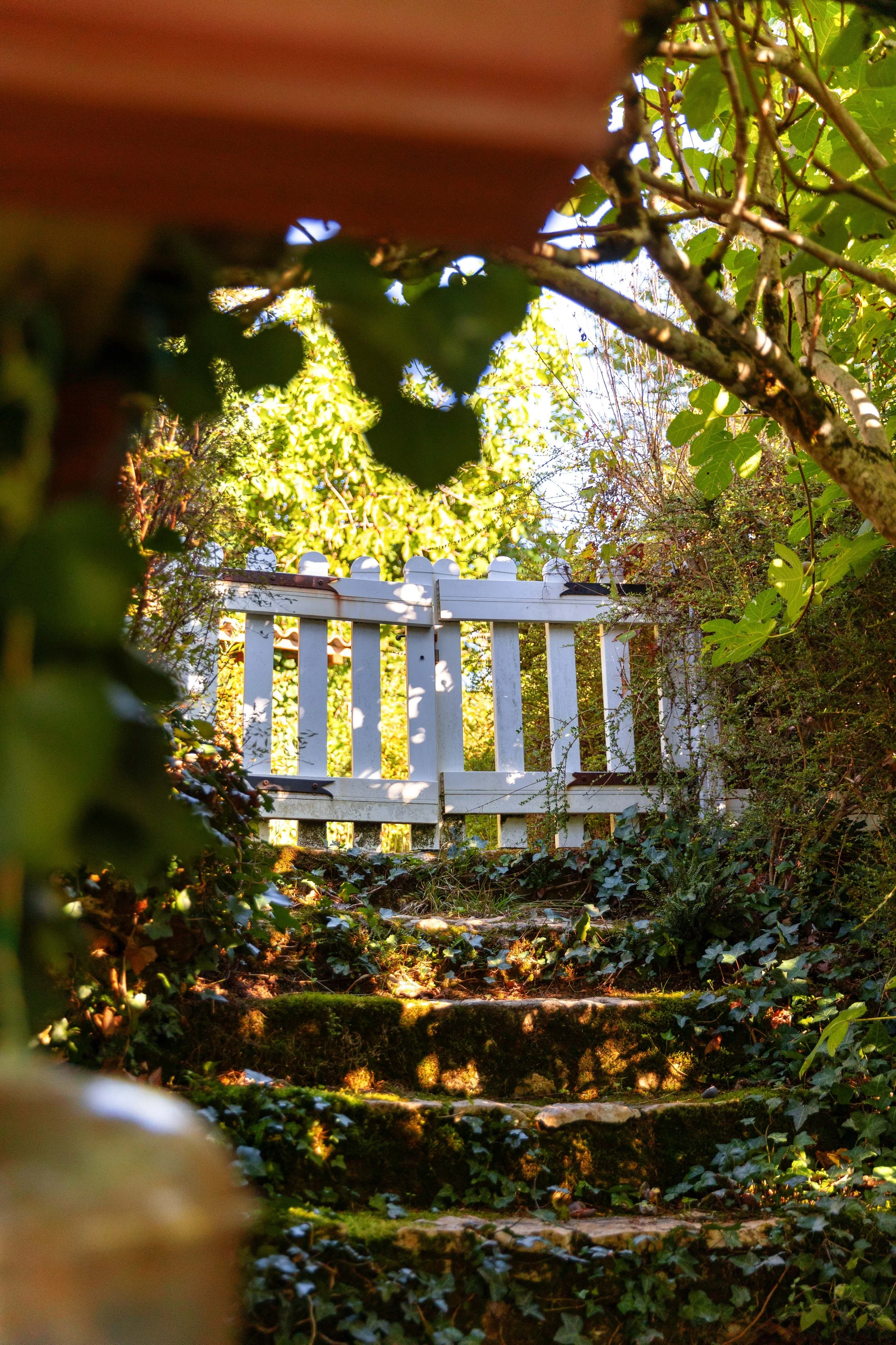 30. Extérieur 8.jpg