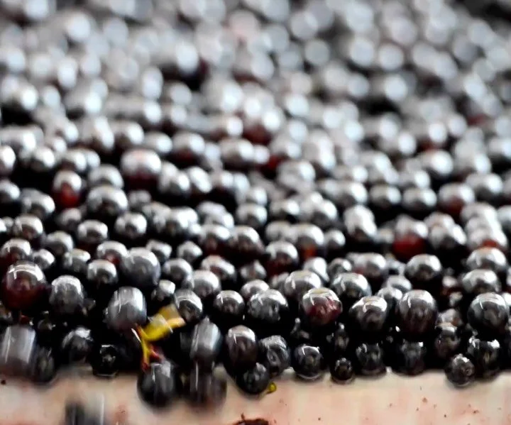 Au c&oelig;ur de Margaux, cette ancienne demeure du Ma&icirc;tre de Chai attend son nouveau chapitre.  137 m&sup2; de caract&egrave;re, un parquet ancien en fil conducteur, des murs en pierre, des briques d&rsquo;&eacute;poque&hellip;
 Ici, tout est 