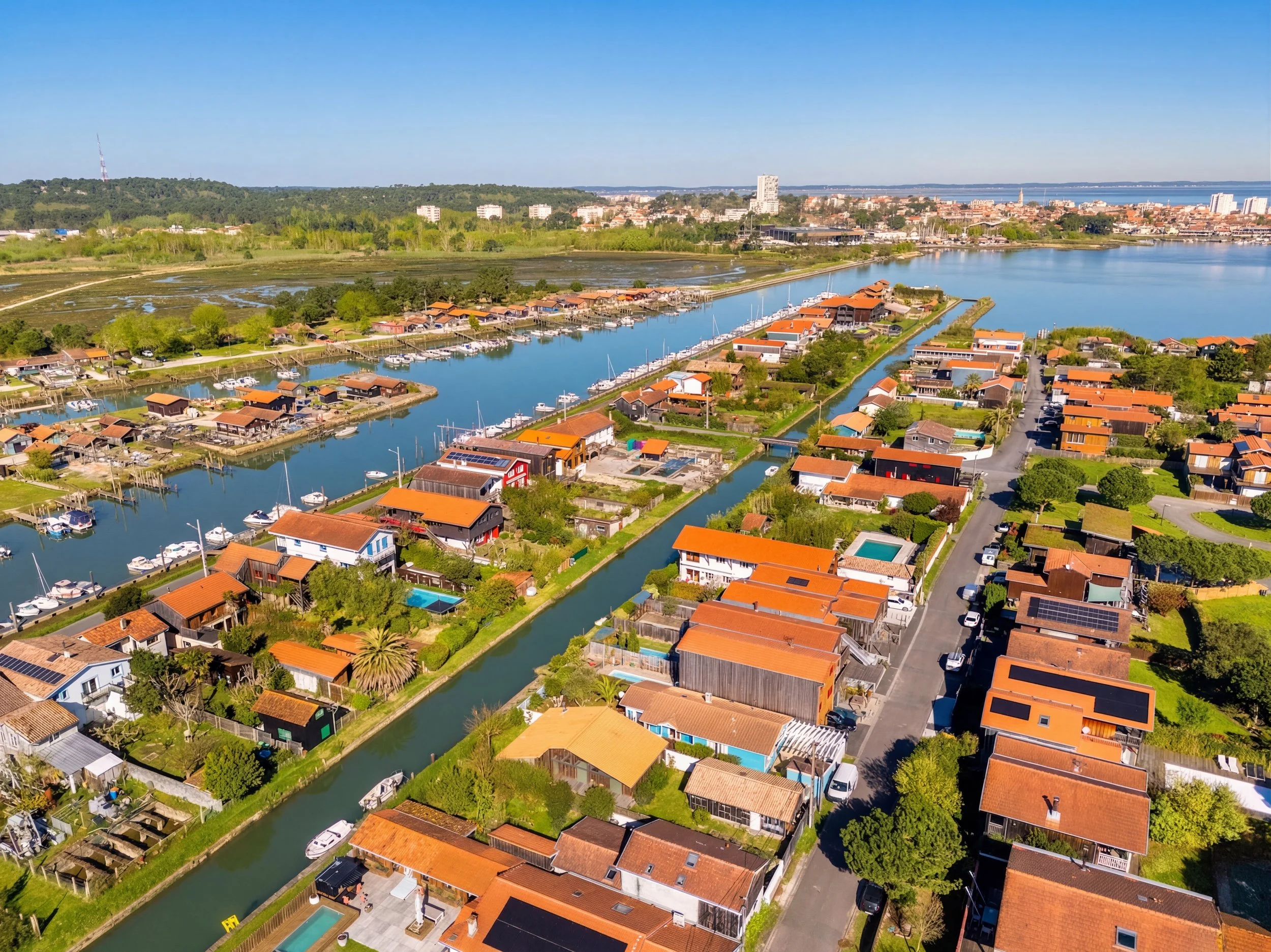 Generated Image March 21, 2026 - 12_22PM.jpg