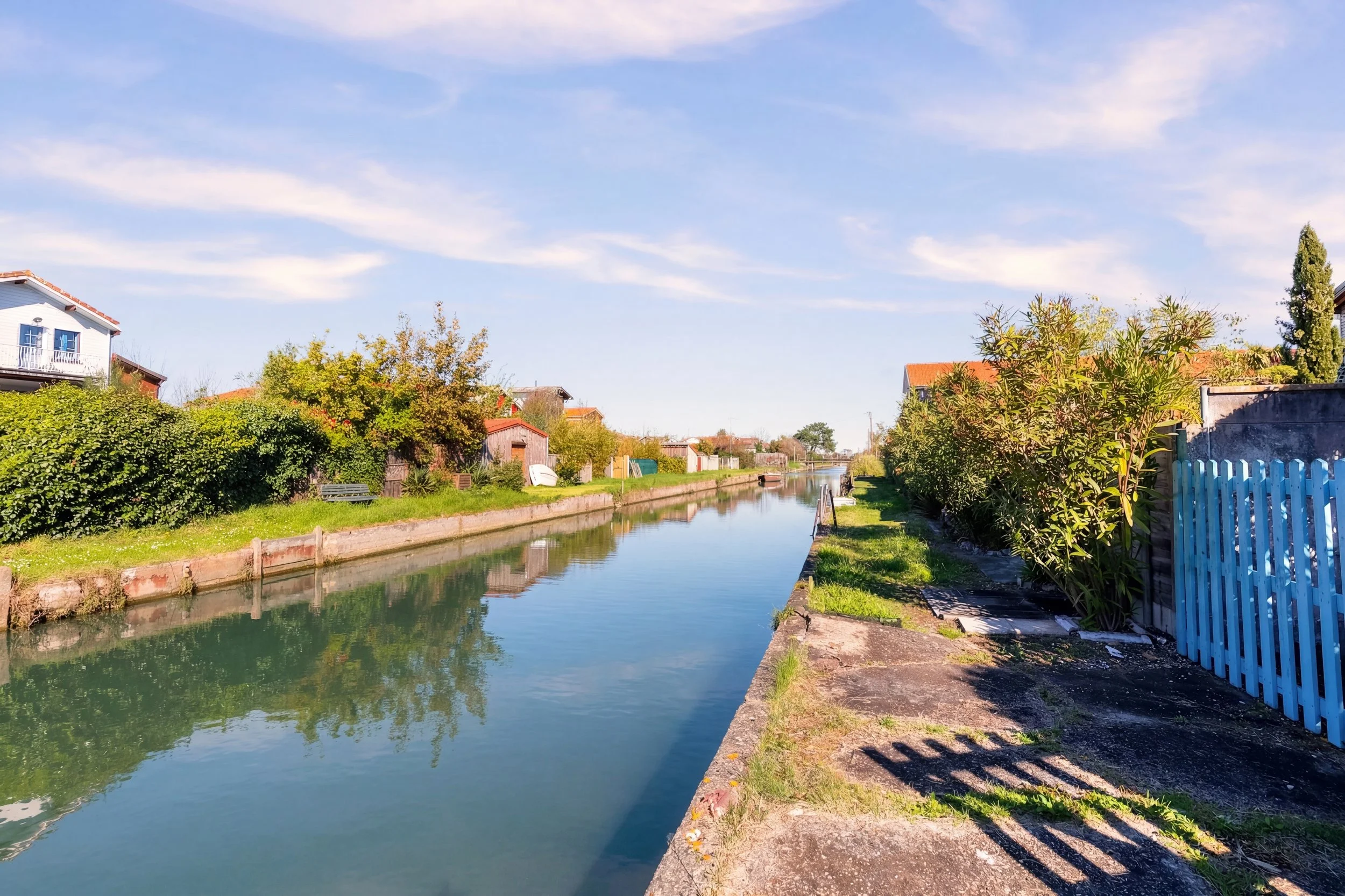 Generated Image March 21, 2026 - 12_42PM.jpg