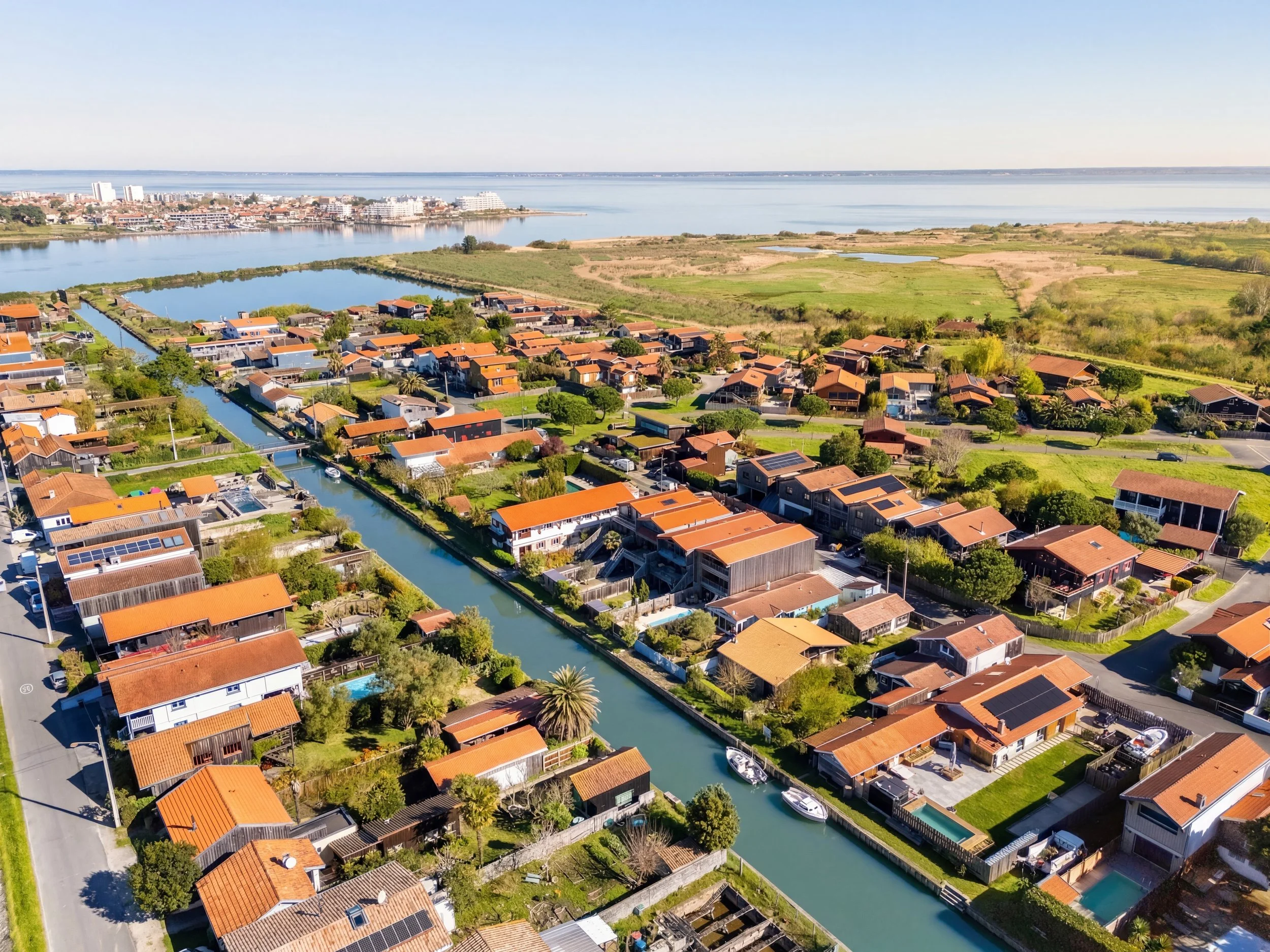 Generated Image March 21, 2026 - 12_25PM.jpg