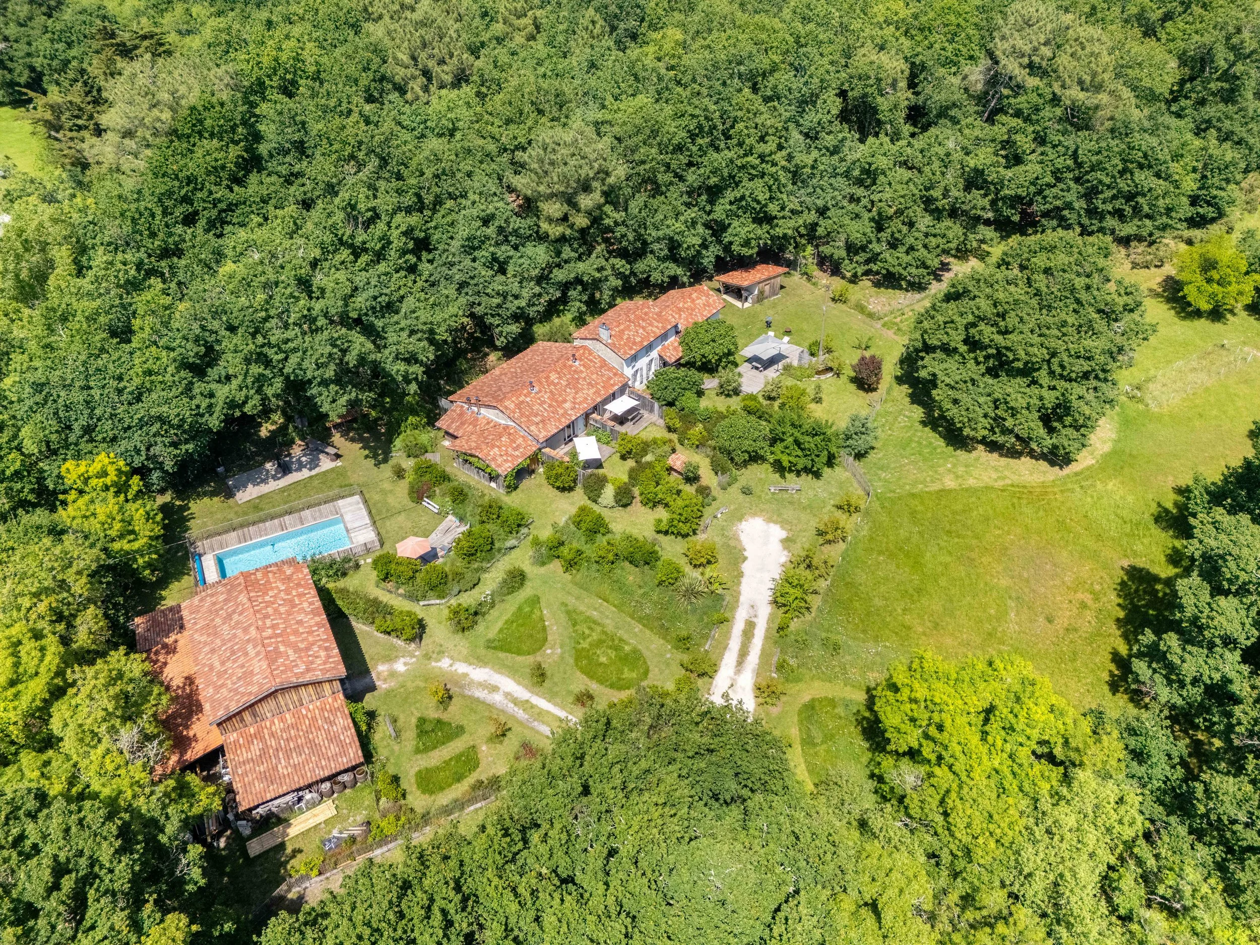 56. Drone 7.jpg