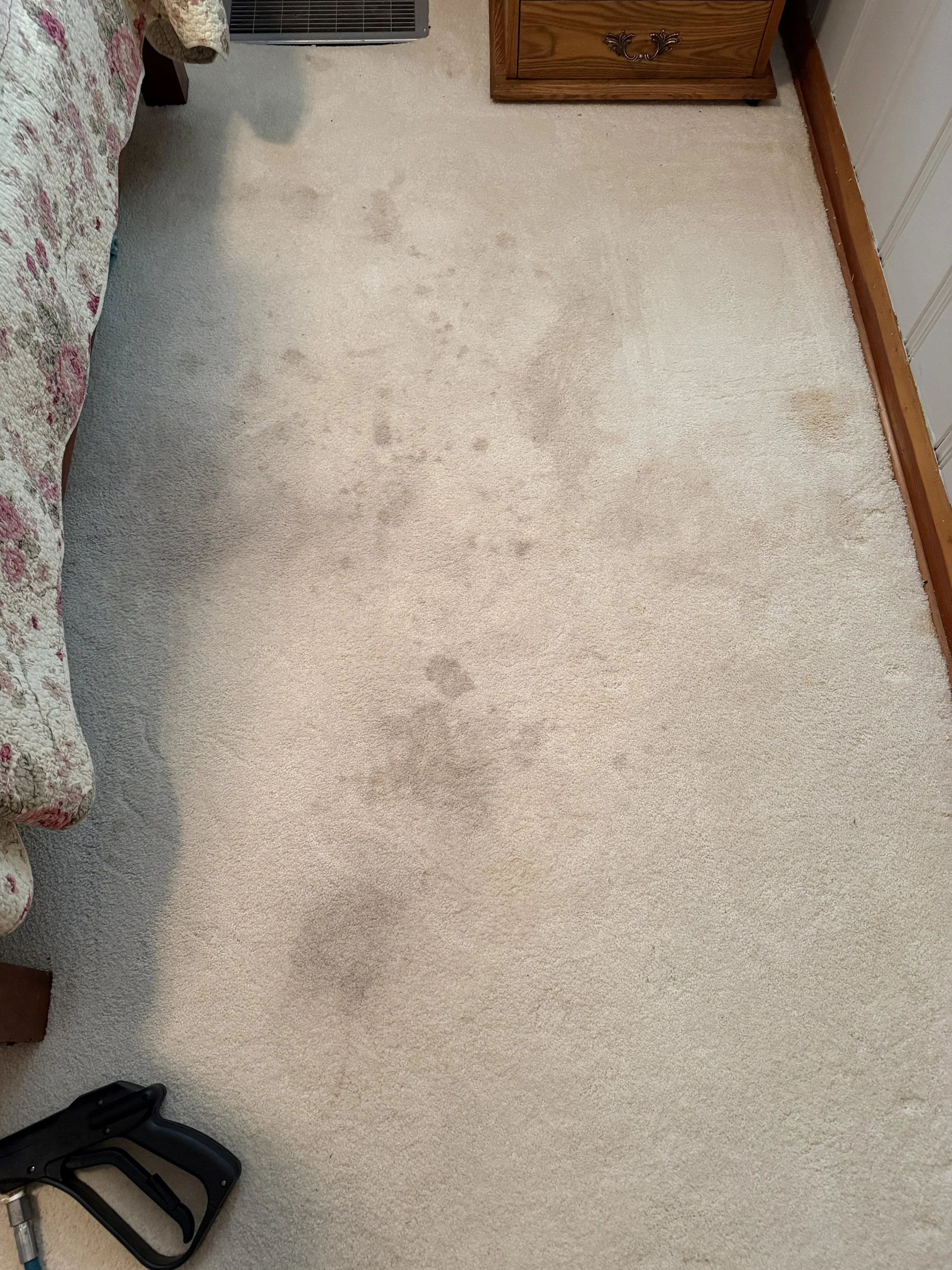 Carpet Cleaning Before image v5 1 26.jpg