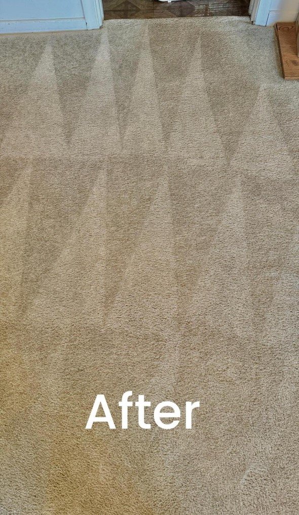 Carpet-Cleaning-After-1.jpg