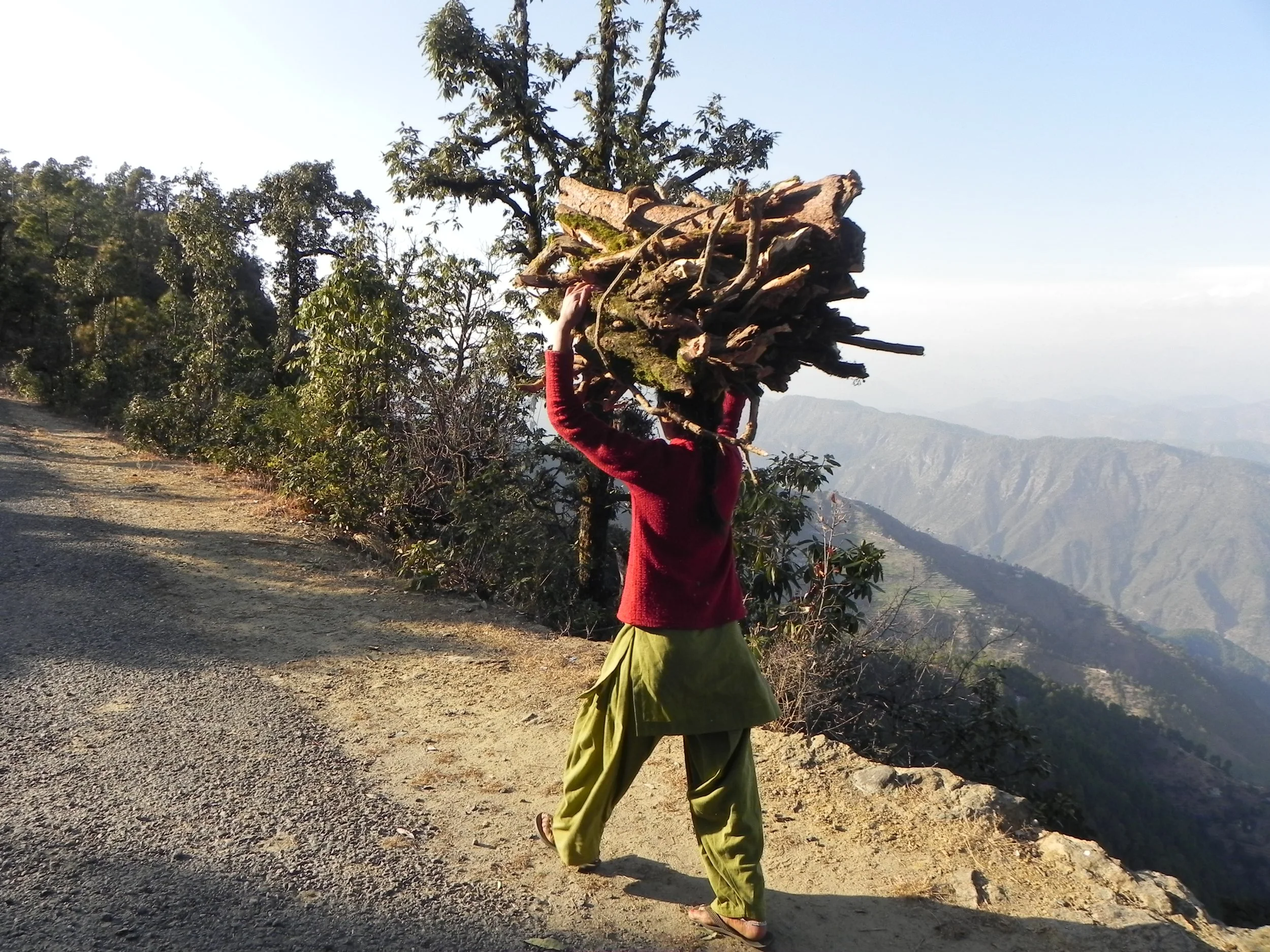 carrying firewood on ridge between Matakanya an Kathdhara.JPG