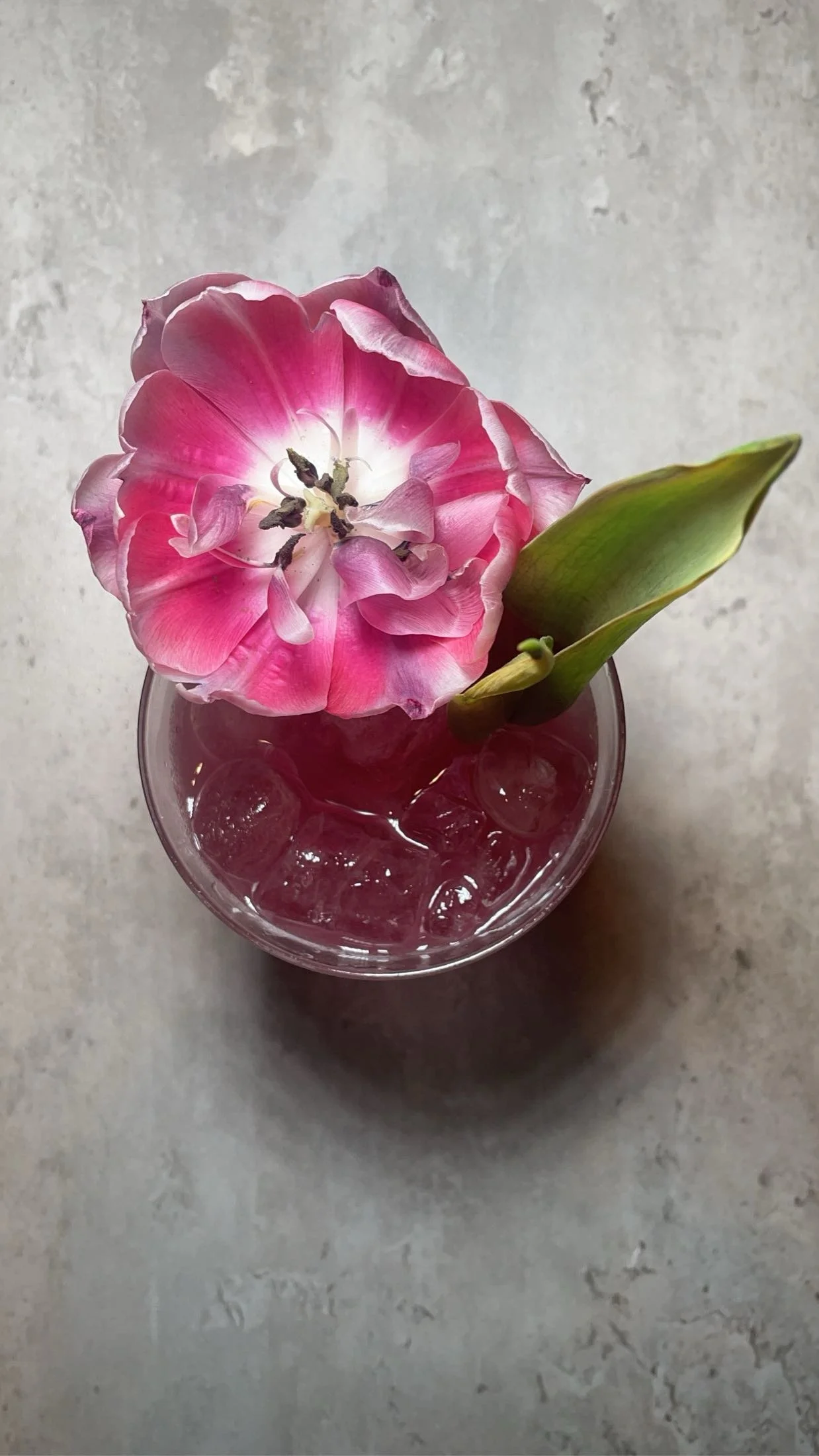 HTX Coffee Cart Espresso Bar Houston Mobile