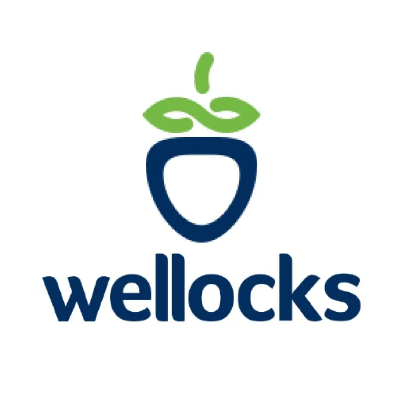 wellocks-web-logo.jpg