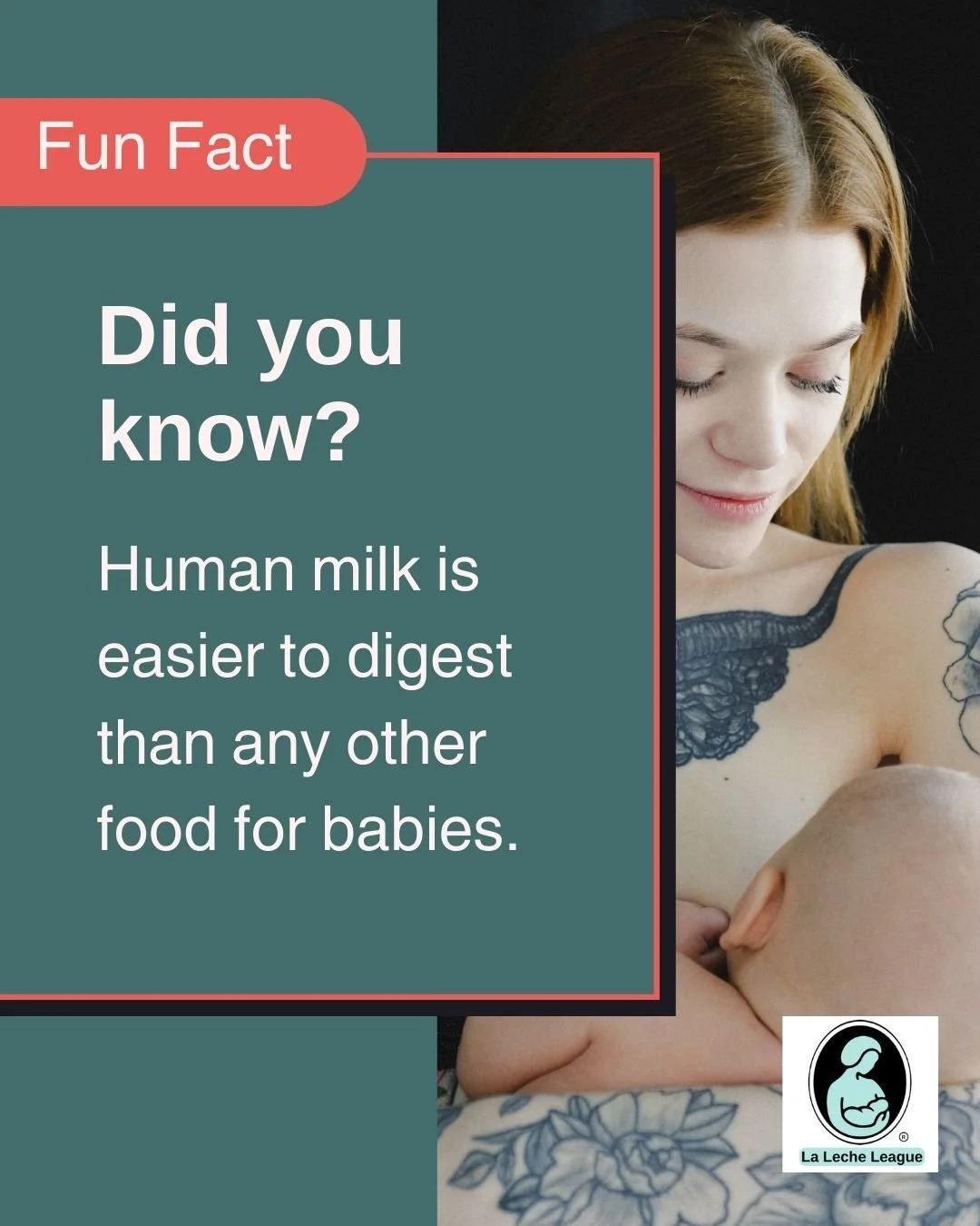 Human milk is easier to digest than any other food for babies.

LLL Leaders can help you understand your baby&rsquo;s cues and feeding rhythms. 💕

Learn more at your local LLL meeting or at lllpa.org/meetings