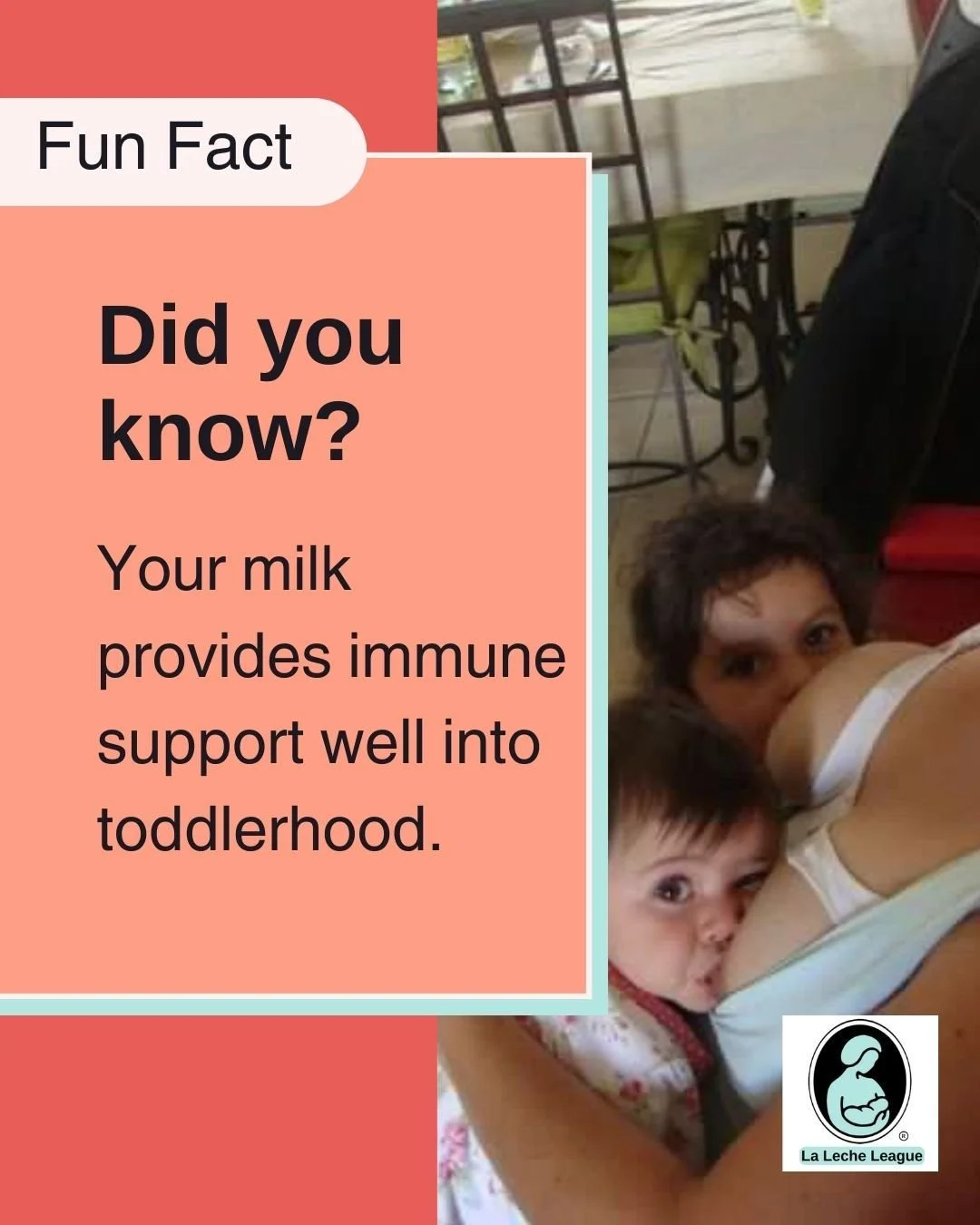 Your milk provides immune support well into toddlerhood.

LLL Leaders can help you understand your baby&rsquo;s cues and feeding rhythms. 💕

Learn more at your local LLL meeting or at lllpa.org/meetings