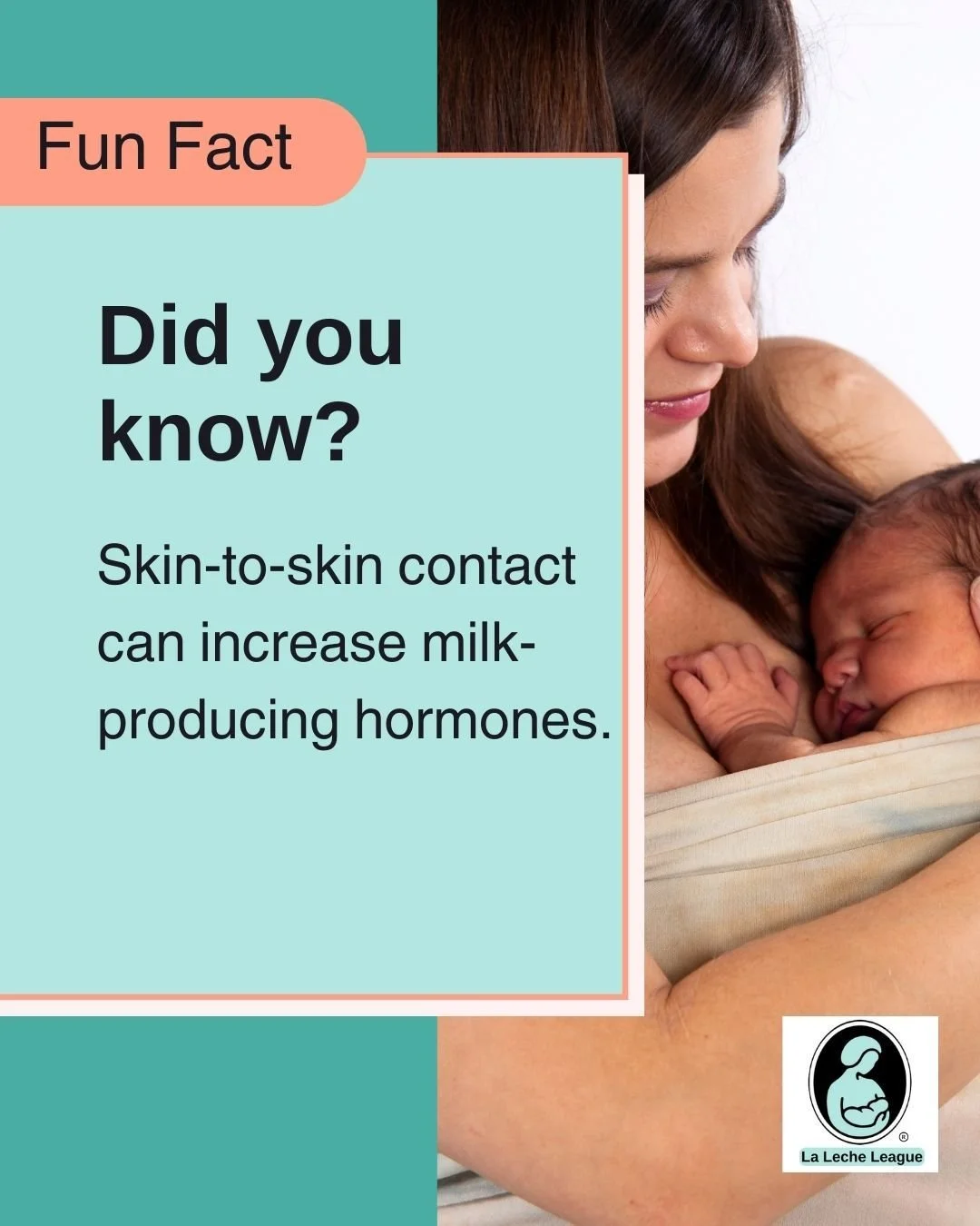Skin-to-skin contact can increase milk-producing hormones.

LLL Leaders can help you understand your baby&rsquo;s cues and feeding rhythms. 💕

Learn more at your local LLL meeting or at lllpa.org/meetings