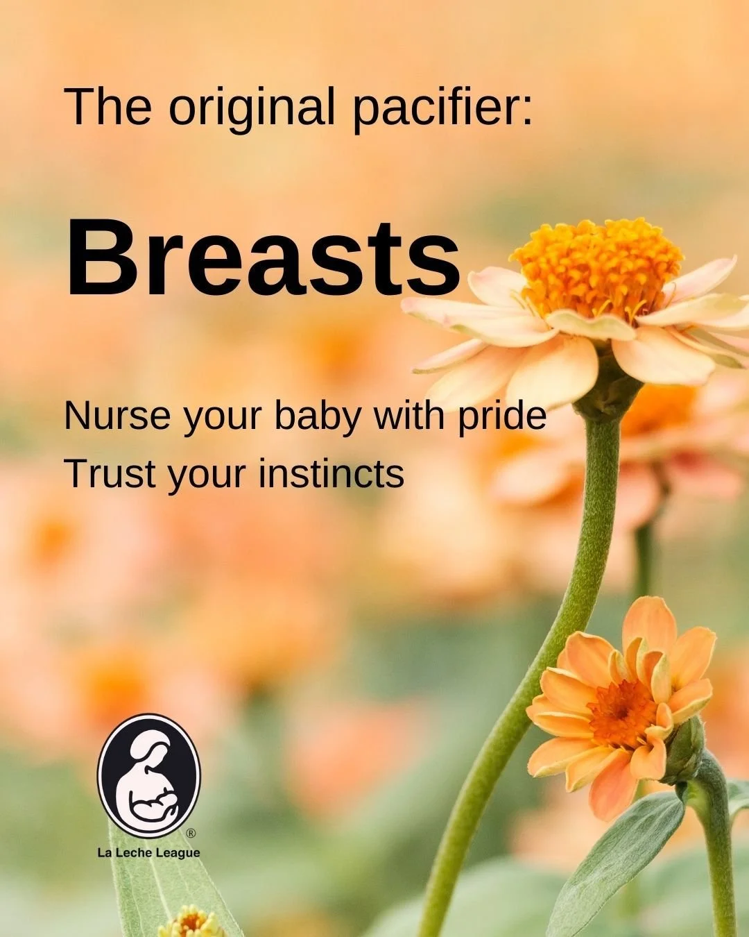 The original pacifier: Breasts

Nurse your baby with pride
Trust your instincts.