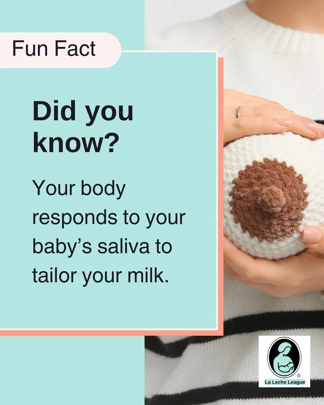Your body responds to your baby&rsquo;s saliva to tailor your milk.

LLL Leaders can help you understand your baby&rsquo;s cues and feeding rhythms. 💕

Learn more at your local LLL meeting or at lllpa.org/meetings