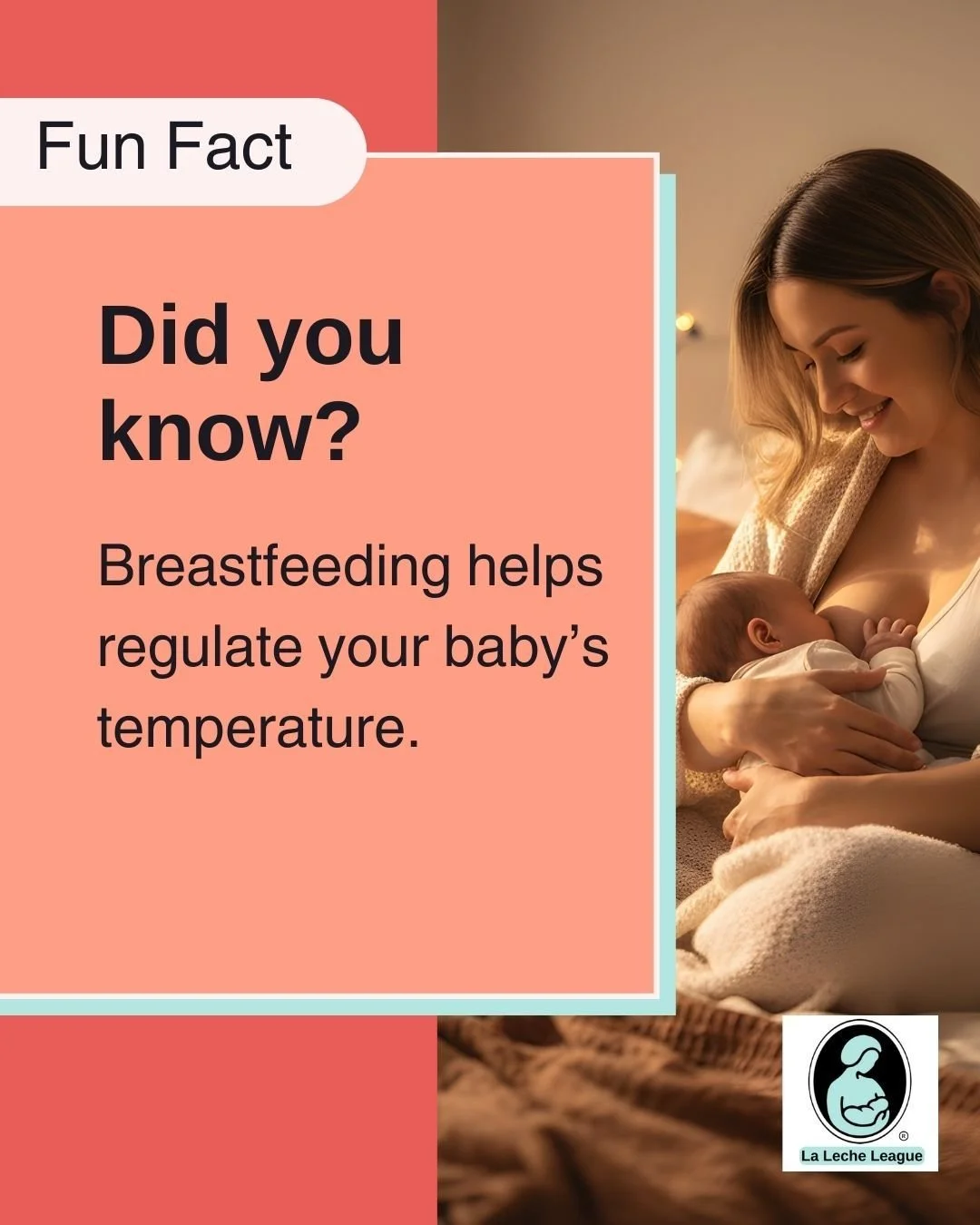 Breastfeeding helps regulate your baby&rsquo;s temperature.

LLL Leaders can help you understand your baby&rsquo;s cues and feeding rhythms. 💕

Learn more at your local LLL meeting or at lllpa.org/meetings