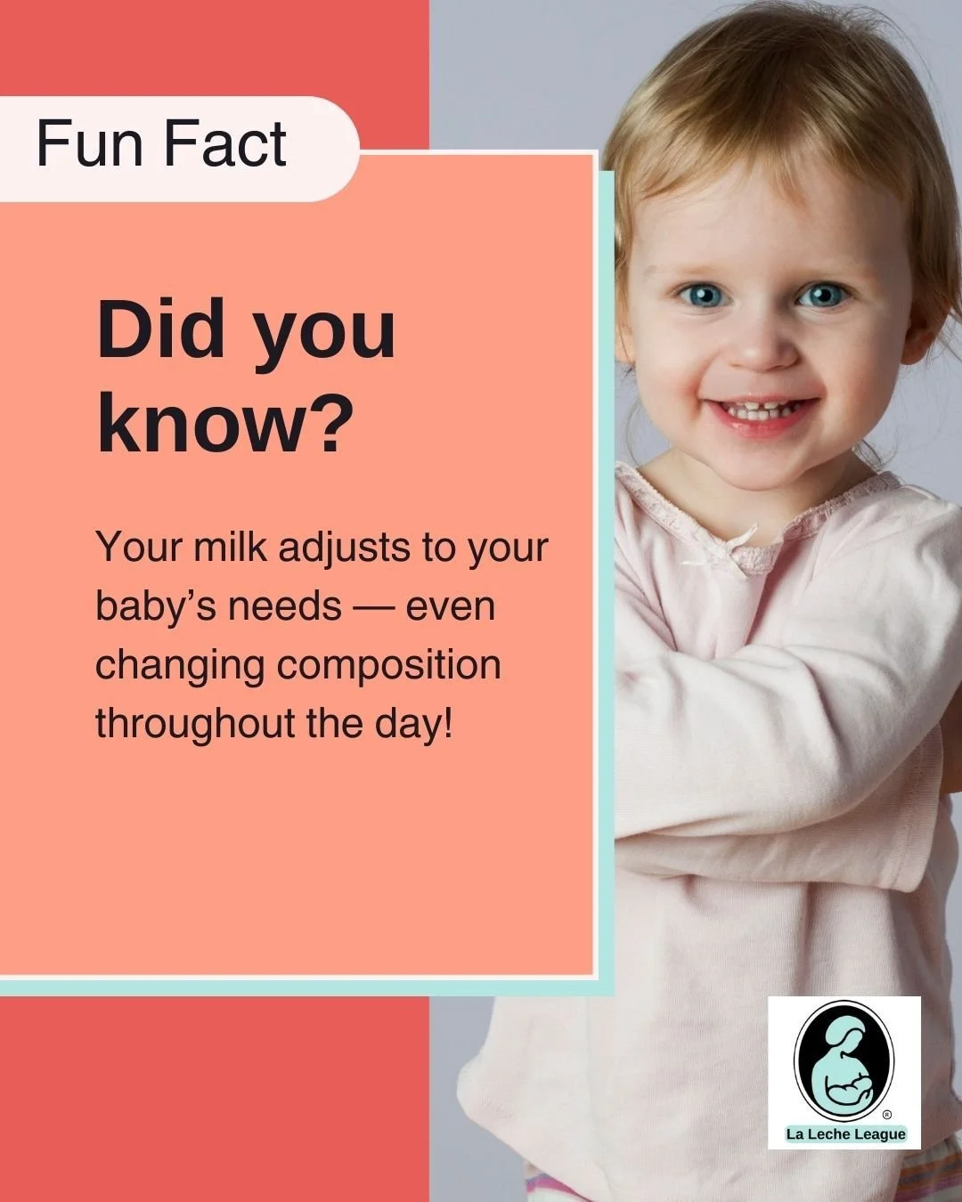 Nursing supports jaw and oral development.

LLL Leaders can help you understand your baby&rsquo;s cues and feeding rhythms. 💕

Learn more at your local LLL meeting or at lllpa.org/meetings
