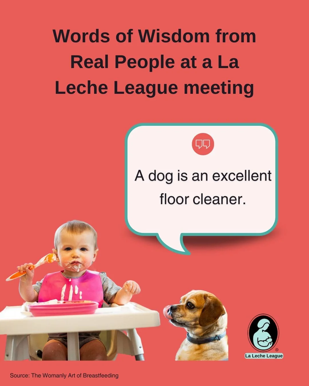 Words of wisdom from real people at a La Leche League meeting: "A dog is an excellent floor cleaner."

What words of wisdom have you picked up at a meeting?