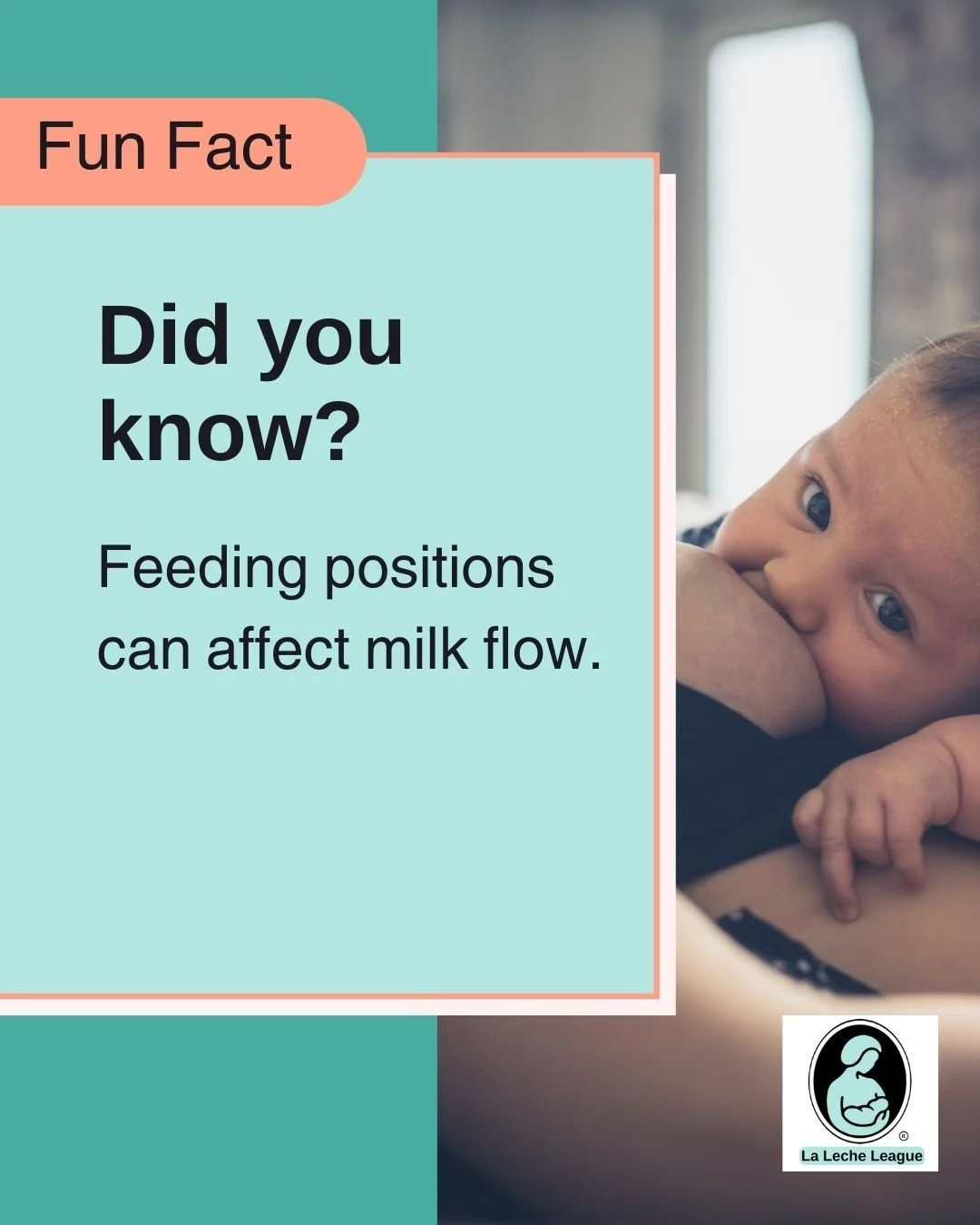 Feeding positions can affect milk flow.

LLL Leaders can help you understand your baby&rsquo;s cues and feeding rhythms. 💕

Learn more at your local LLL meeting or at lllpa.org/meetings
