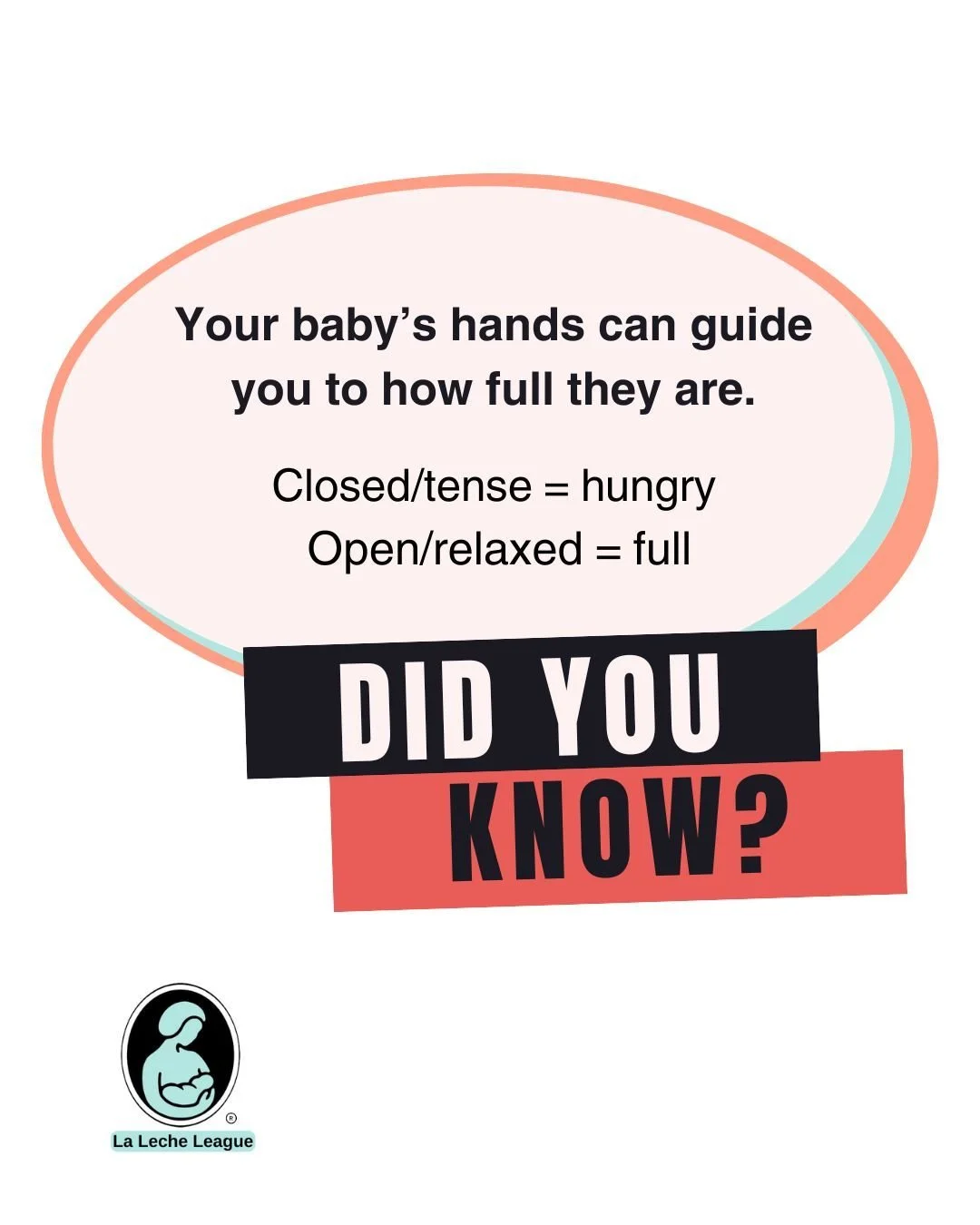Is my baby getting enough milk? This is a common question I get asked as a La Leche League Leader.

A baby's hands often time will let you know how hungry they are. At the beginning of the feed many babies start with a closed, tense fist. As they eat