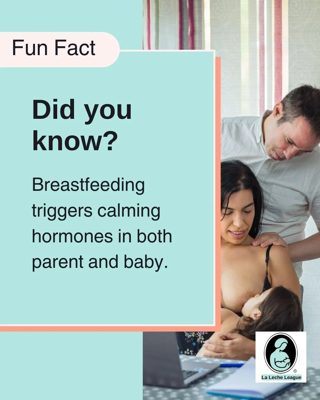 Breastfeeding triggers calming hormones in both parent and baby.

LLL Leaders can help you understand your baby&rsquo;s cues and feeding rhythms. 💕

Learn more at your local LLL meeting or at lllpa.org/meetings
