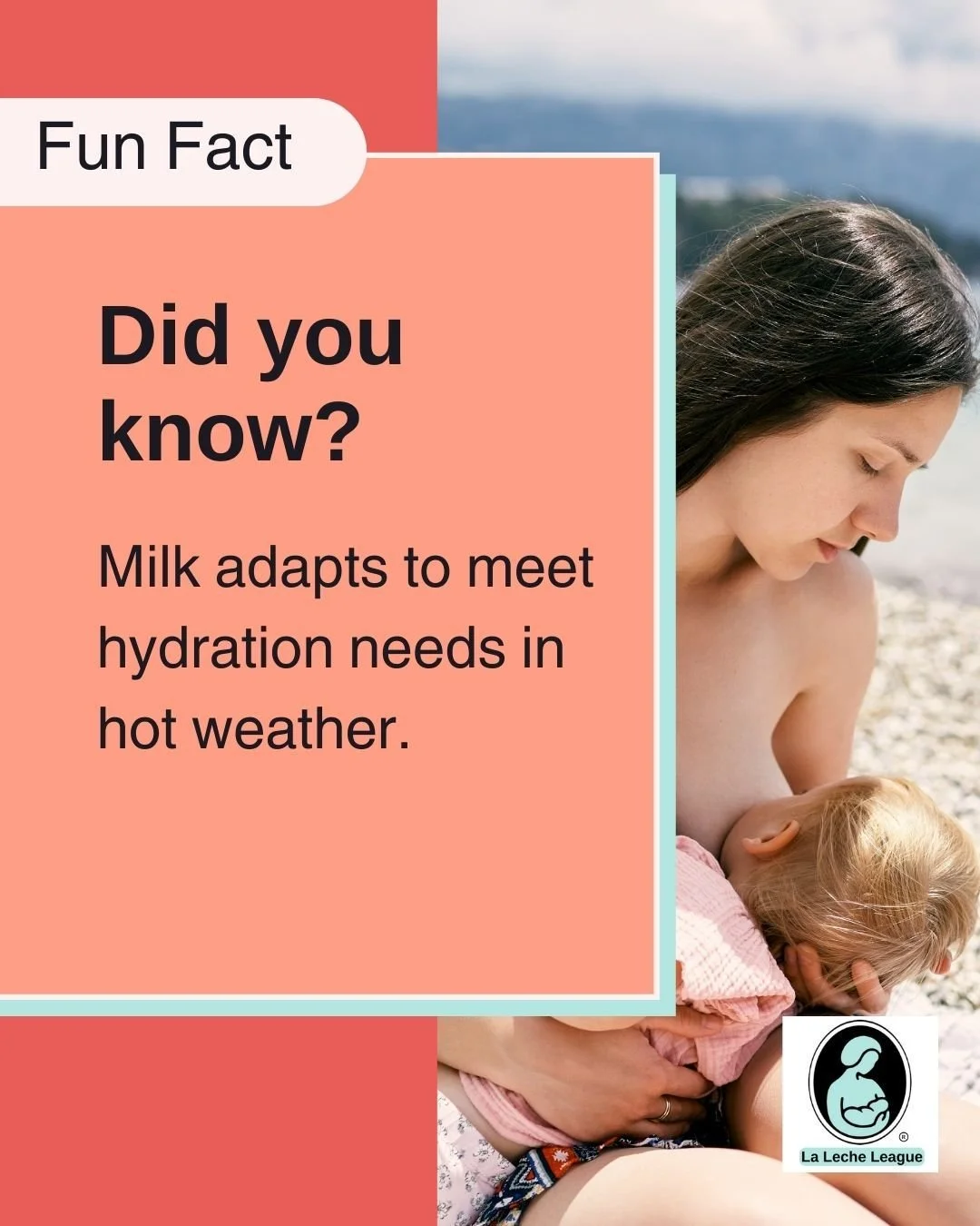 Milk adapts to meet hydration needs in hot weather.

LLL Leaders can help you understand your baby&rsquo;s cues and feeding rhythms. 💕

Learn more at your local LLL meeting or at lllpa.org/meetings