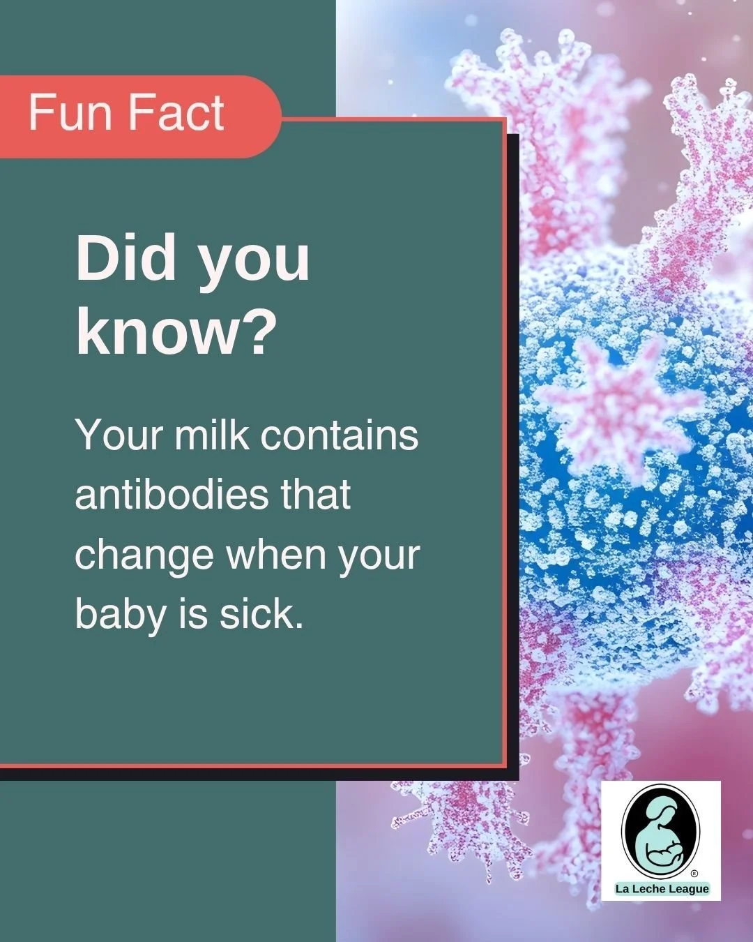 Fun Fact: Your milk contains antibodies that change when your baby is sick.

LLL Leaders can help you understand your baby&rsquo;s cues and feeding rhythms. 💕

Learn more at your local LLL meeting or at lllpa.org/meetings