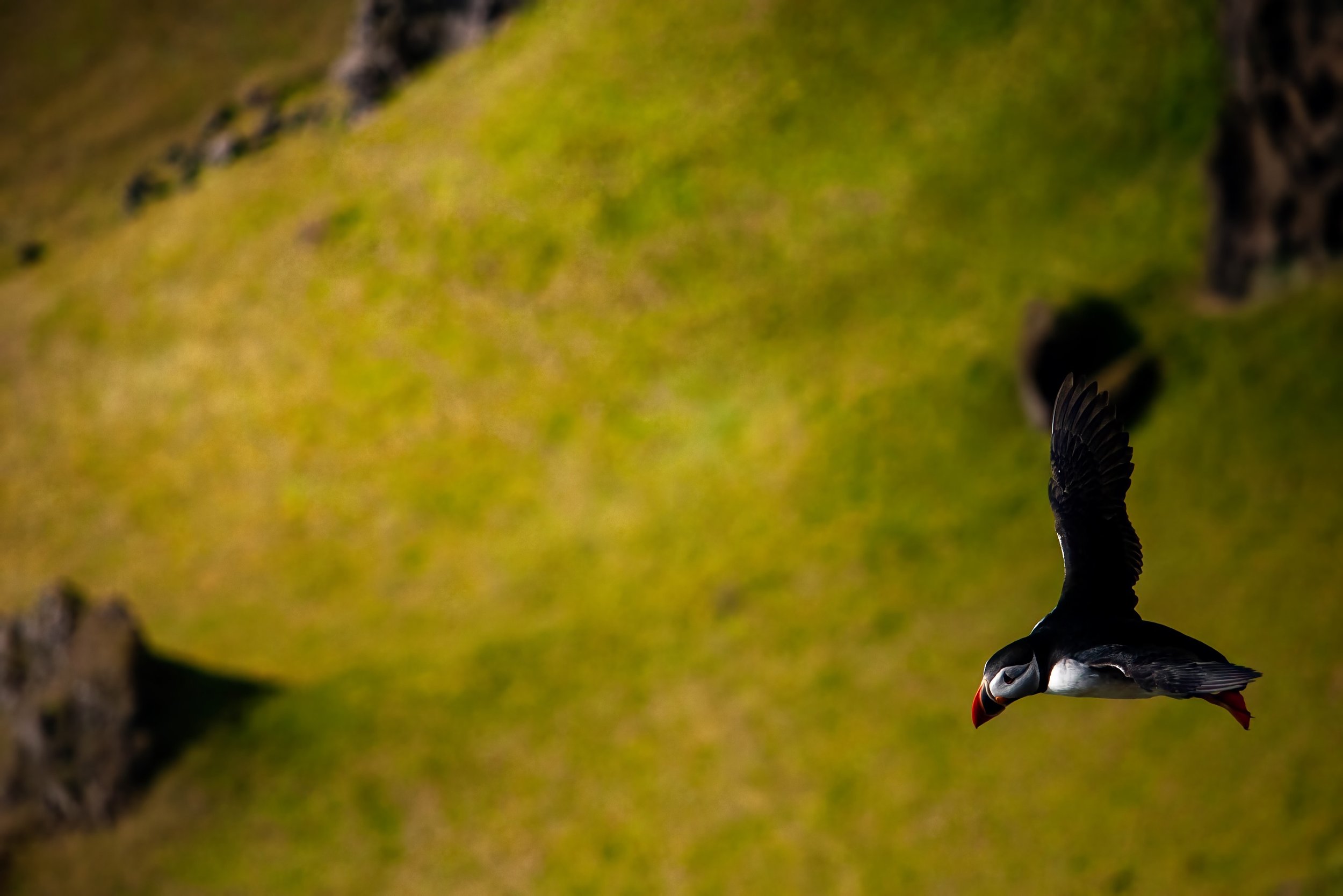 Moins de 18 ans : Mon voyage en Islande