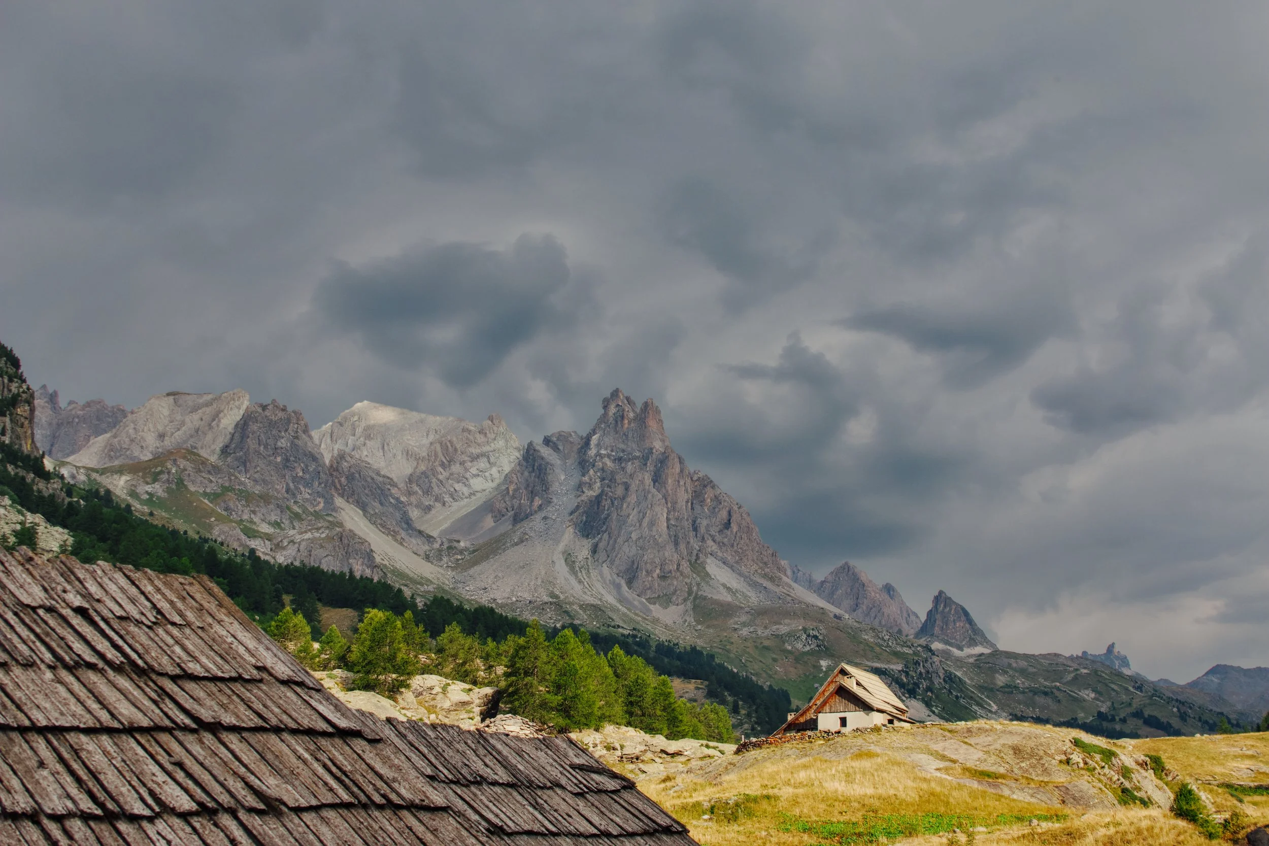 La beauté alpine