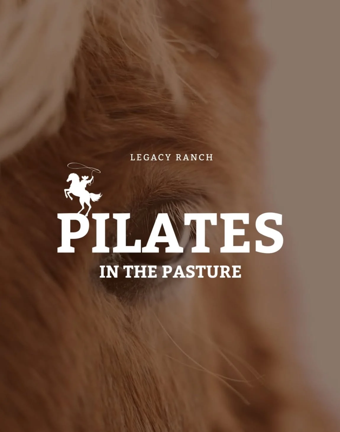 Pilates in the Pasture